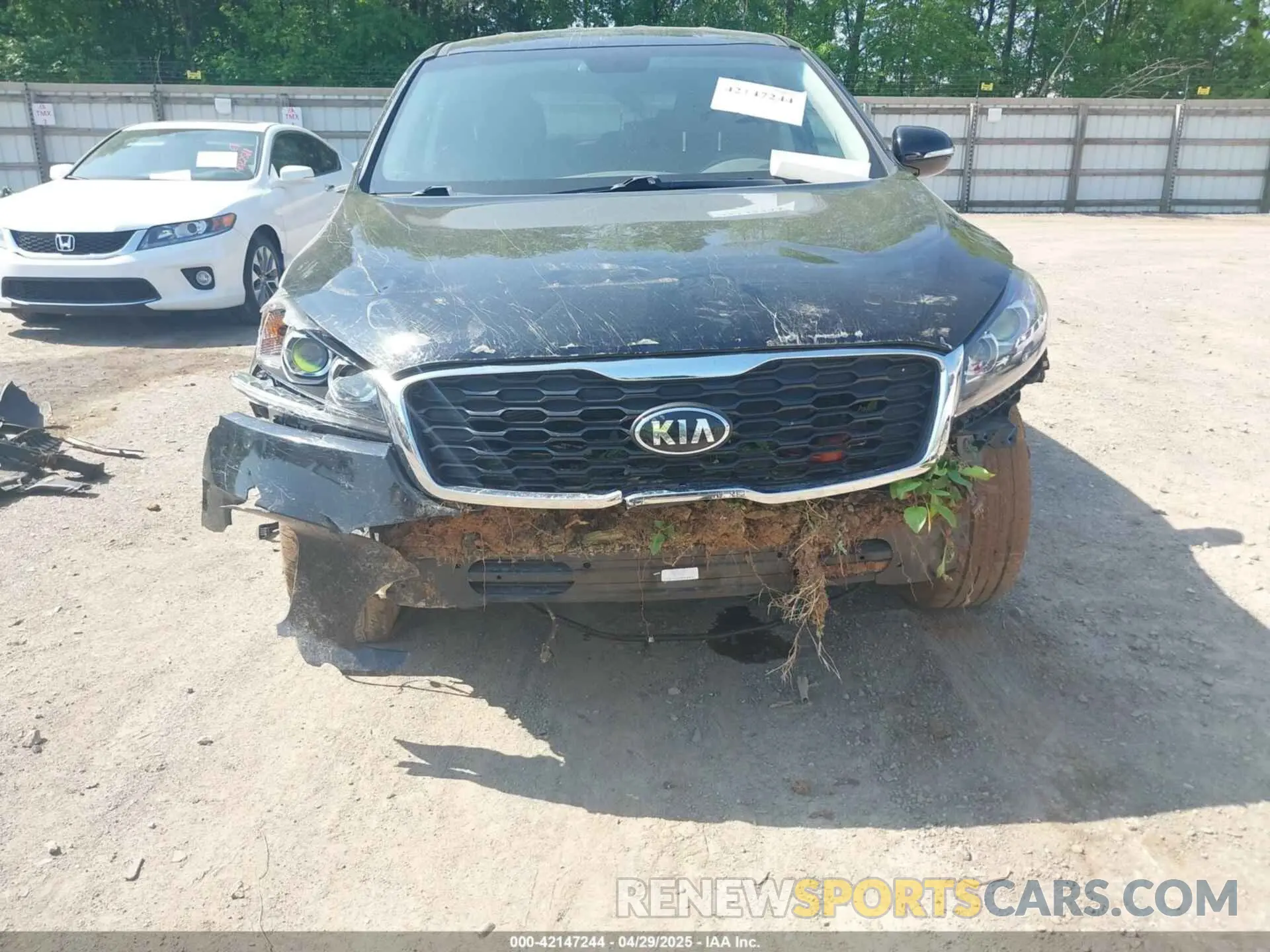 6 Photograph of a damaged car 5XYPG4A39KG576239 KIA SORENTO 2019