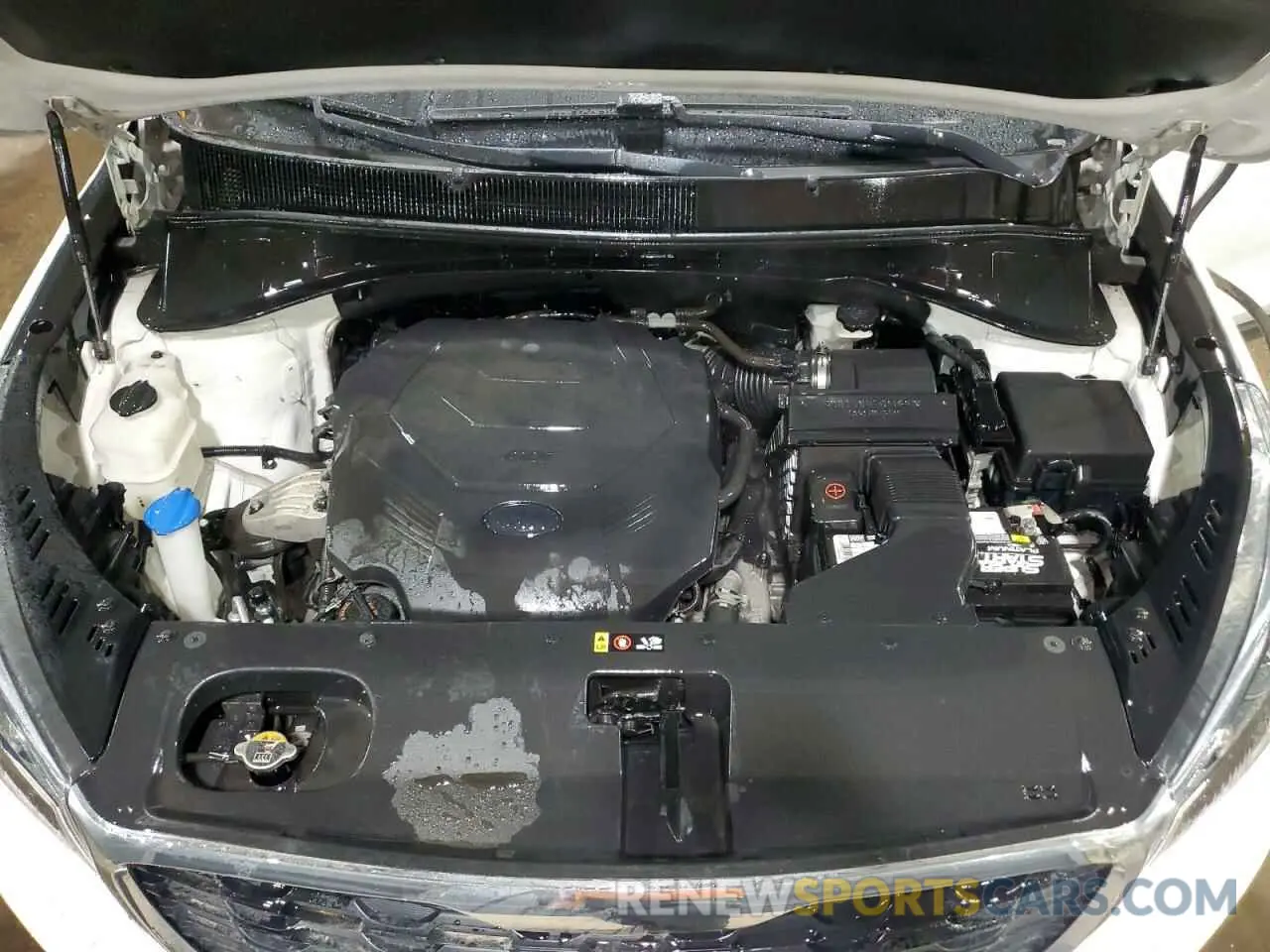 12 Фотография поврежденного автомобиля 5XYPG4A54KG509565 KIA SORENTO 2019