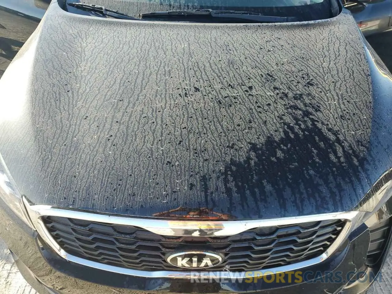 11 Photograph of a damaged car 5XYPGDA30KG548927 KIA SORENTO 2019