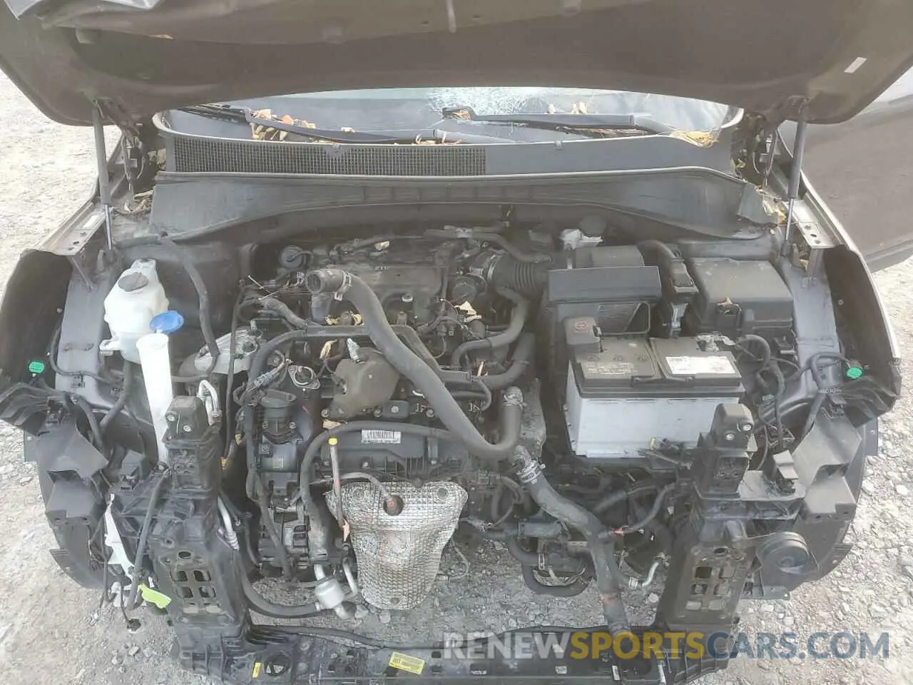 12 Photograph of a damaged car 5XYPHDA51KG509343 KIA SORENTO 2019