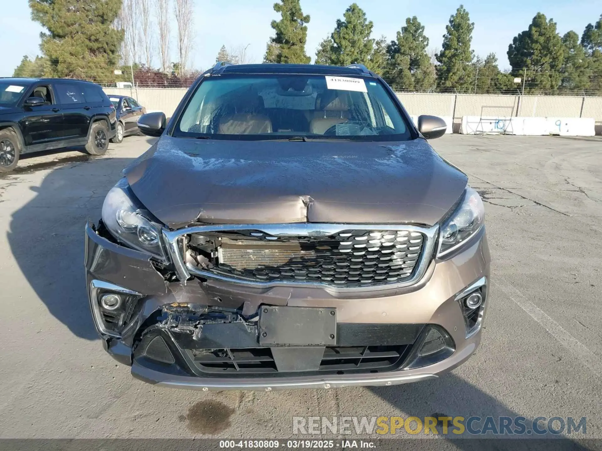 12 Фотография поврежденного автомобиля 5XYPK4A52KG478637 KIA SORENTO 2019