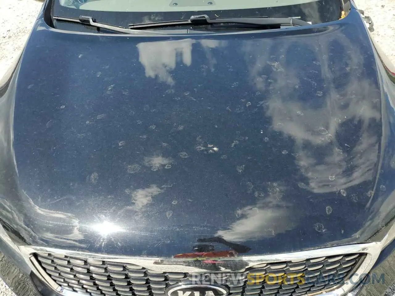 12 Фотография поврежденного автомобиля 5XYPK4A58LG669917 KIA SORENTO 2020