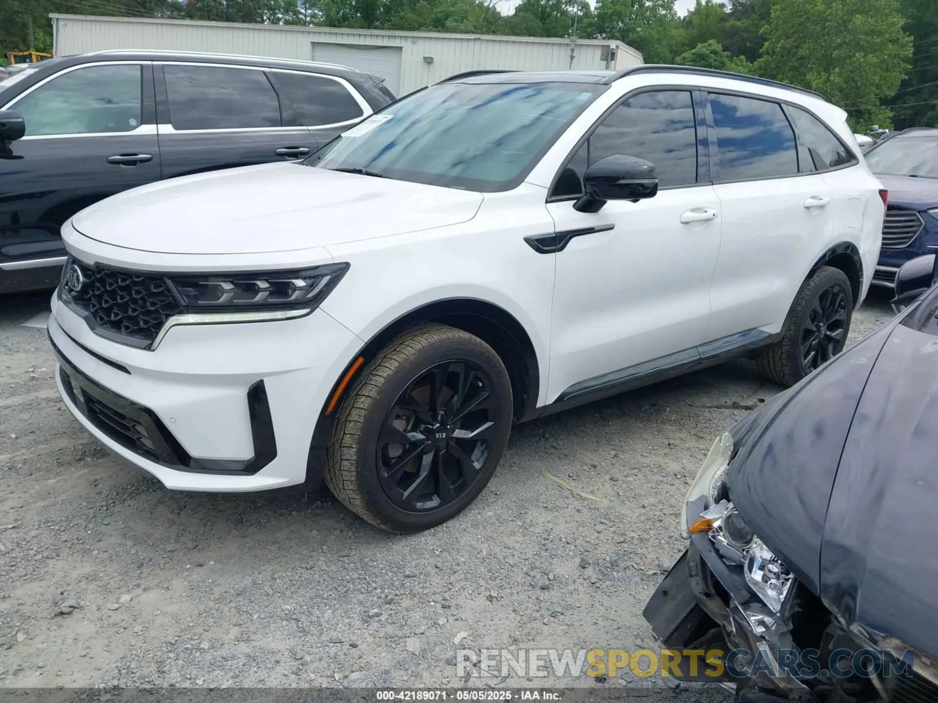 2 Фотография поврежденного автомобиля 5XYRK4LF9MG068631 KIA SORENTO 2021