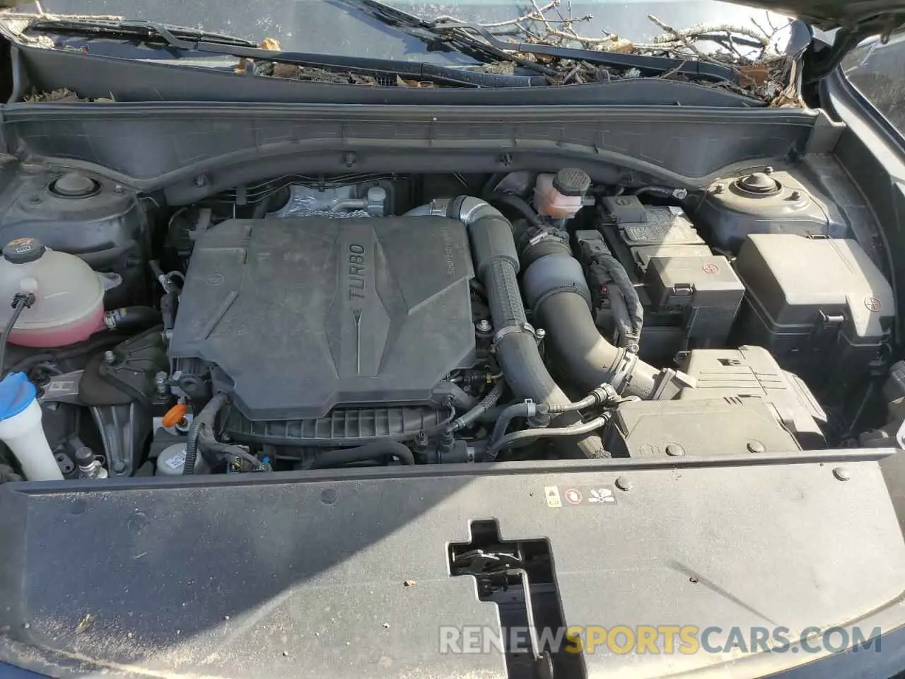 12 Фотография поврежденного автомобиля 5XYRKDLF0MG028244 KIA SORENTO 2021