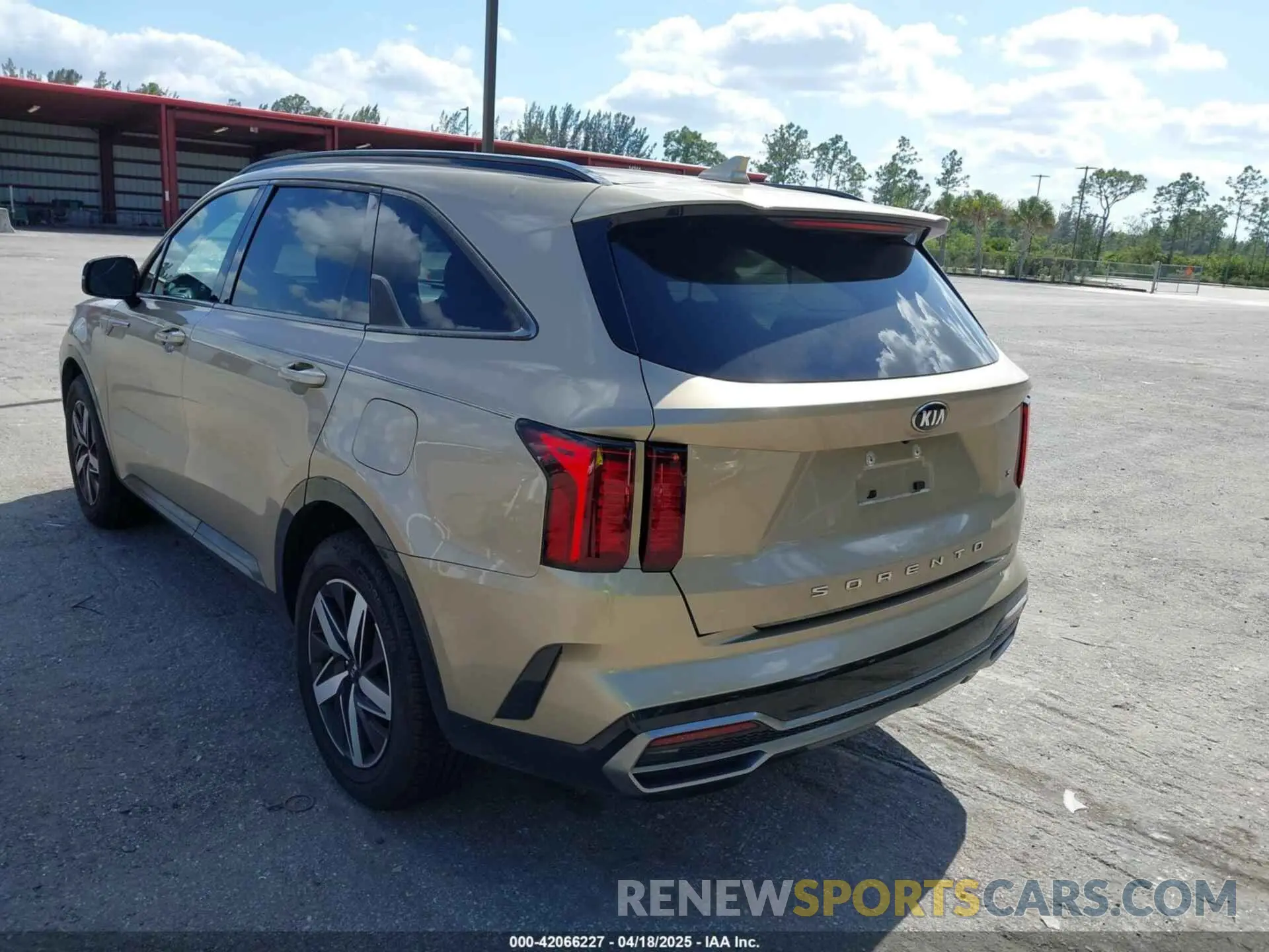 12 Photograph of a damaged car 5XYRL4LC4MG020053 KIA SORENTO 2021
