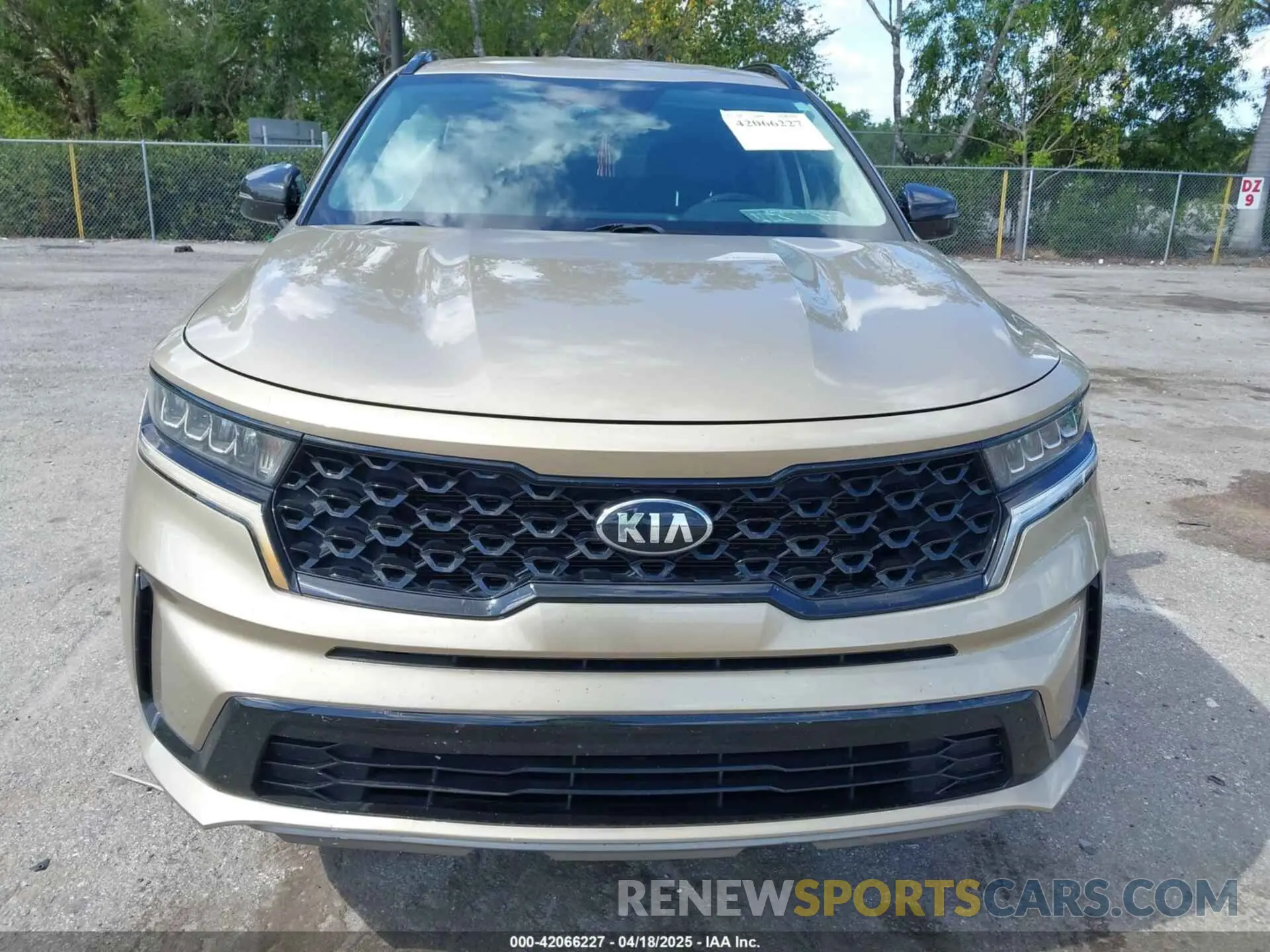 13 Photograph of a damaged car 5XYRL4LC4MG020053 KIA SORENTO 2021