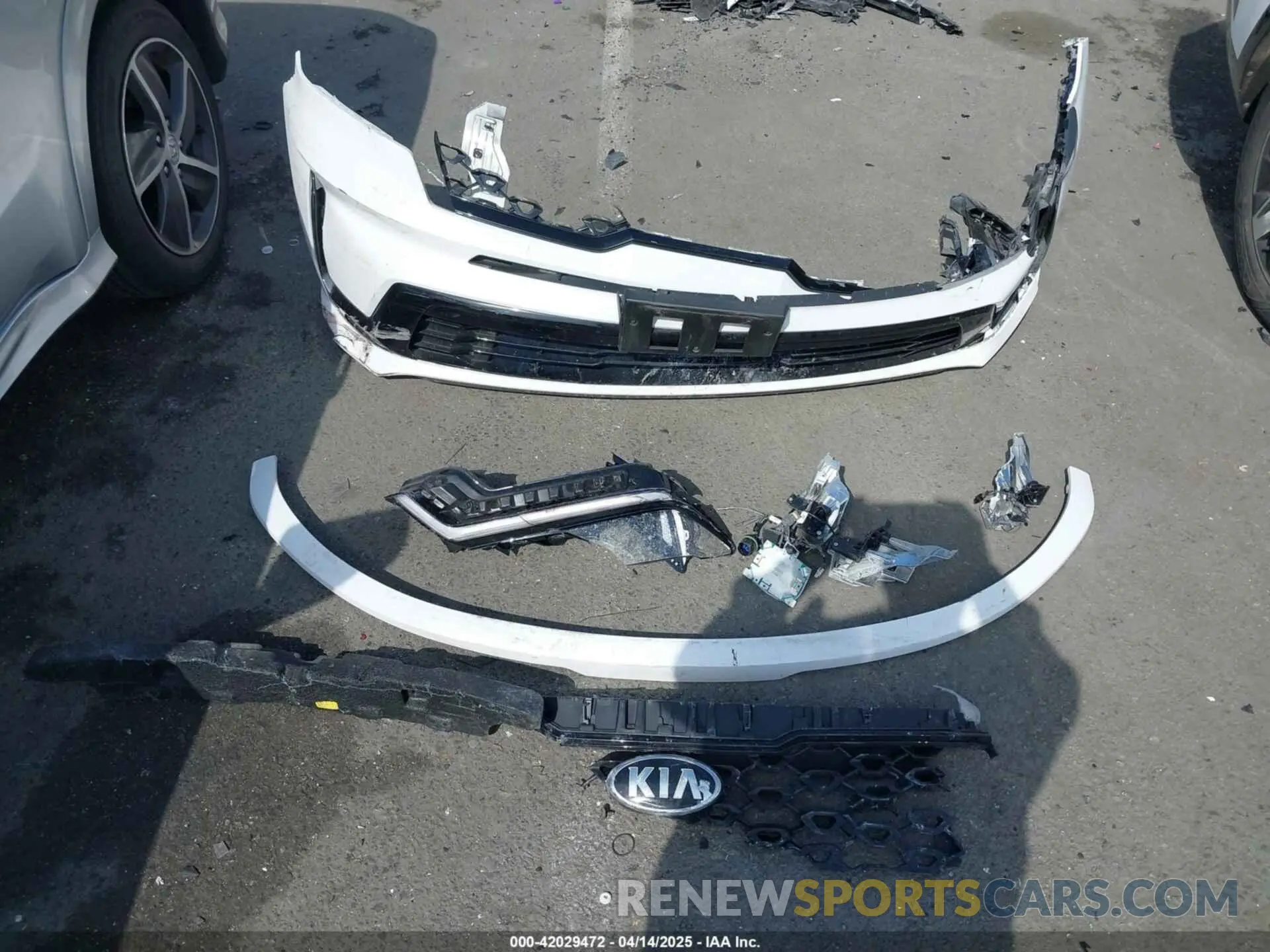 11 Photograph of a damaged car 5XYRL4LC8MG035364 KIA SORENTO 2021
