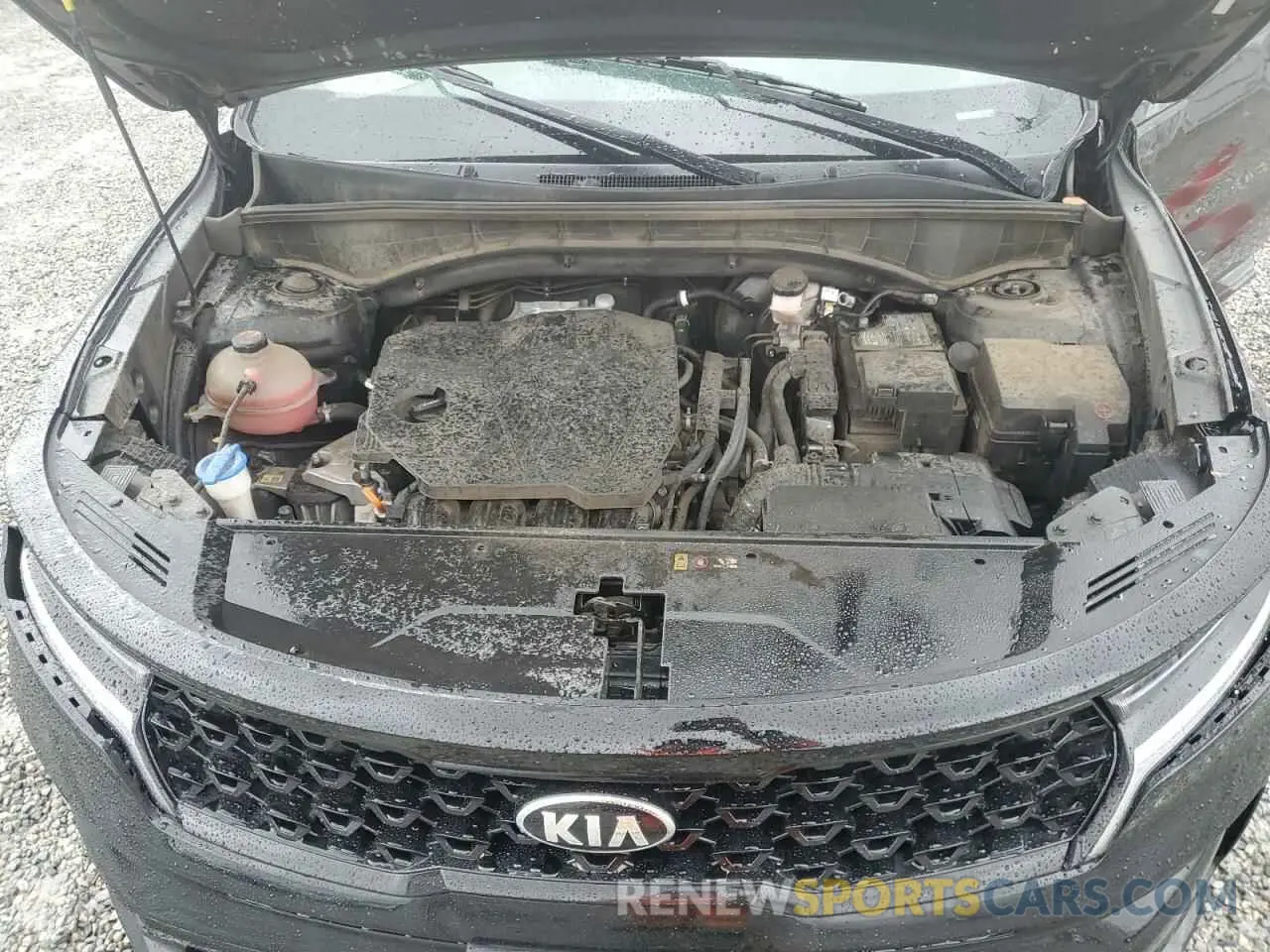12 Photograph of a damaged car 5XYRL4LCXMG019800 KIA SORENTO 2021