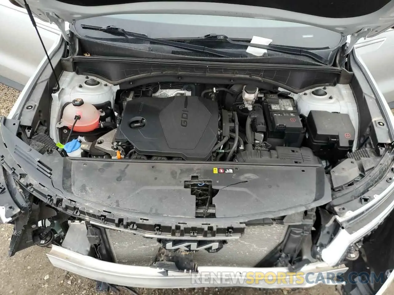 12 Photograph of a damaged car 5XYRG4LC4NG083031 KIA SORENTO 2022