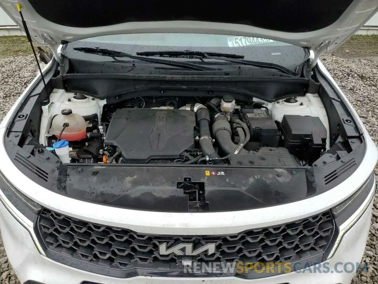 14 Фотография поврежденного автомобиля 5XYRKDLF2NG081335 KIA SORENTO 2022