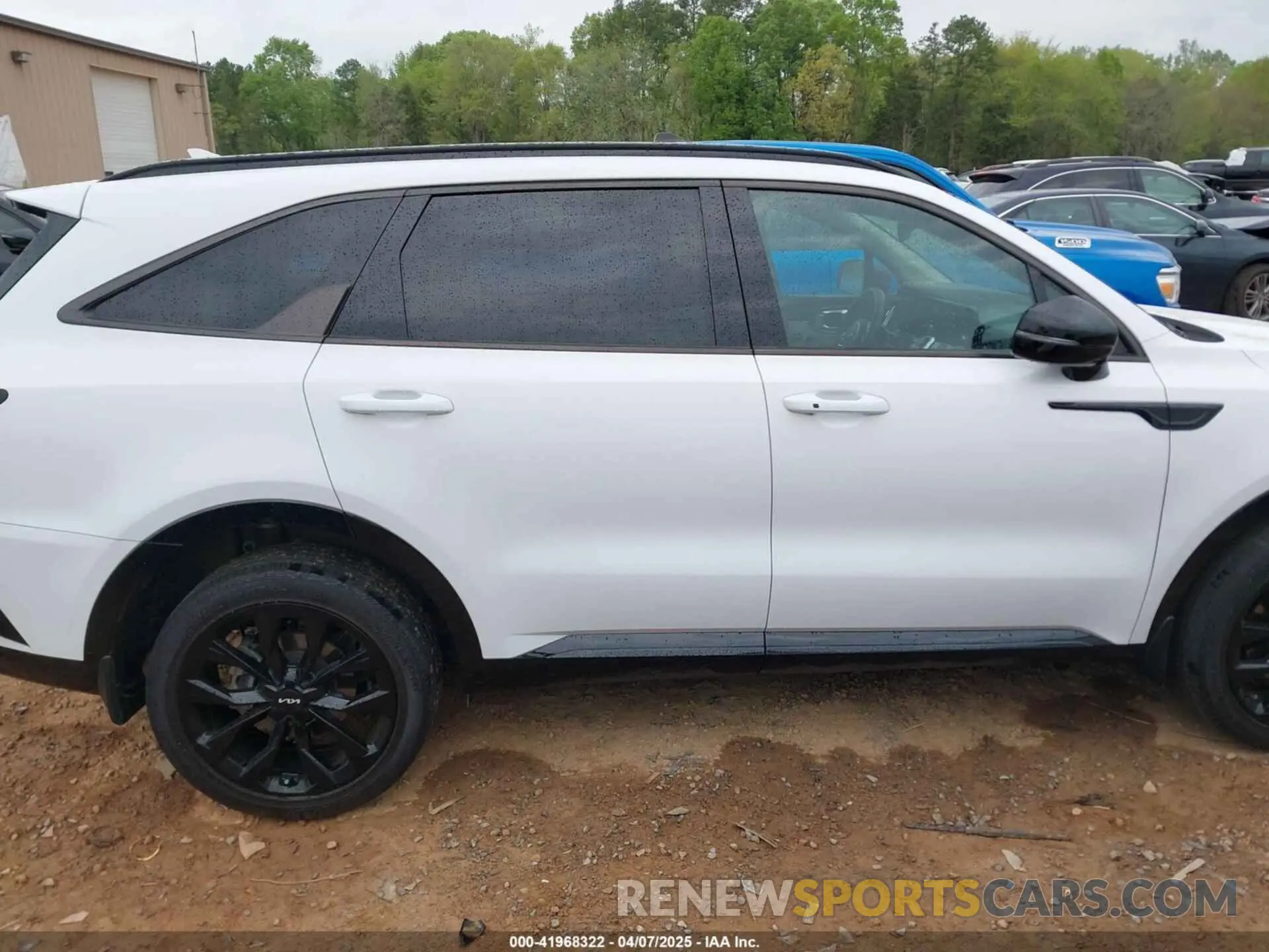 13 Photograph of a damaged car 5XYRKDLF5NG096542 KIA SORENTO 2022