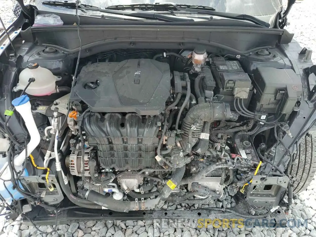 12 Photograph of a damaged car 5XYRL4LC0NG134648 KIA SORENTO 2022