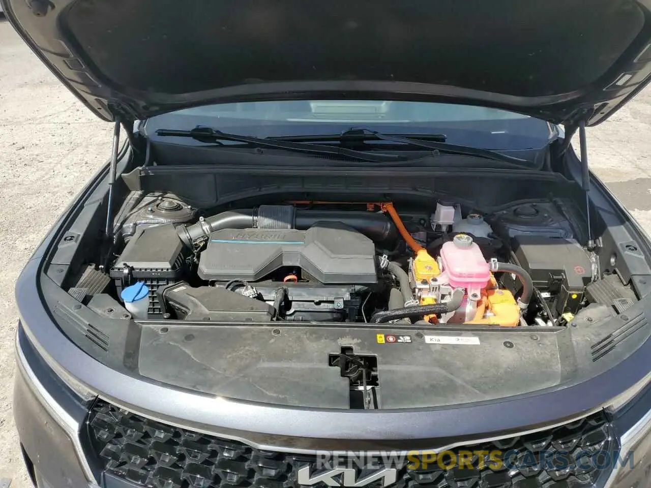12 Фотография поврежденного автомобиля KNDRGDLG4N5081498 KIA SORENTO 2022