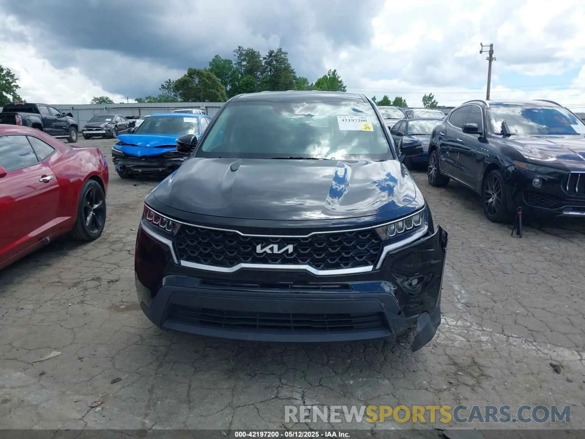 12 Фотография поврежденного автомобиля 5XYRG4LC1PG226455 KIA SORENTO 2023