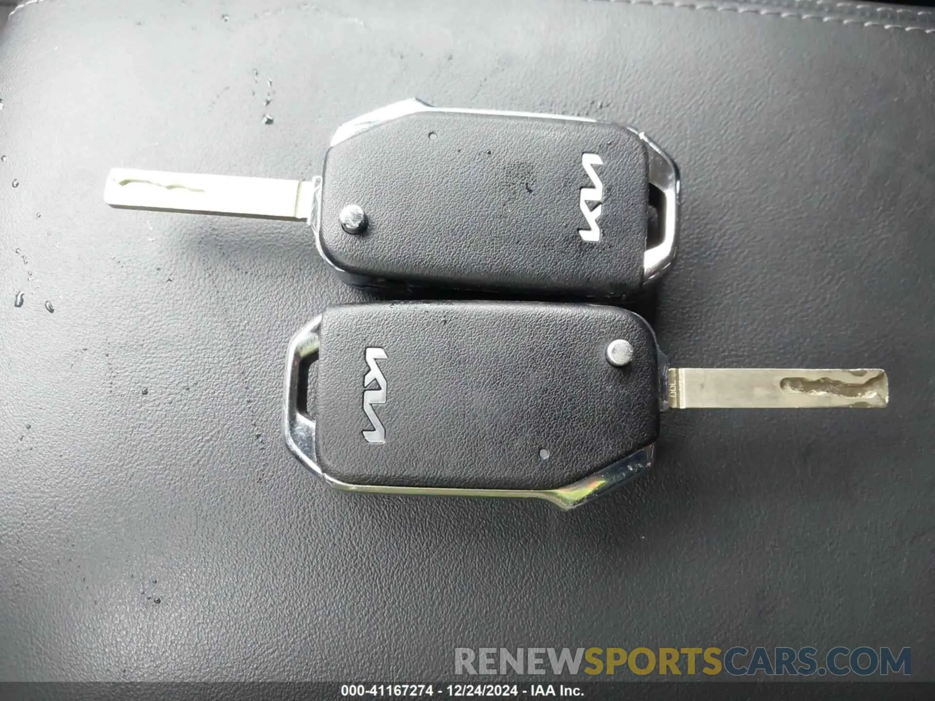 11 Фотография поврежденного автомобиля 5XYRG4LC5PG241489 KIA SORENTO 2023