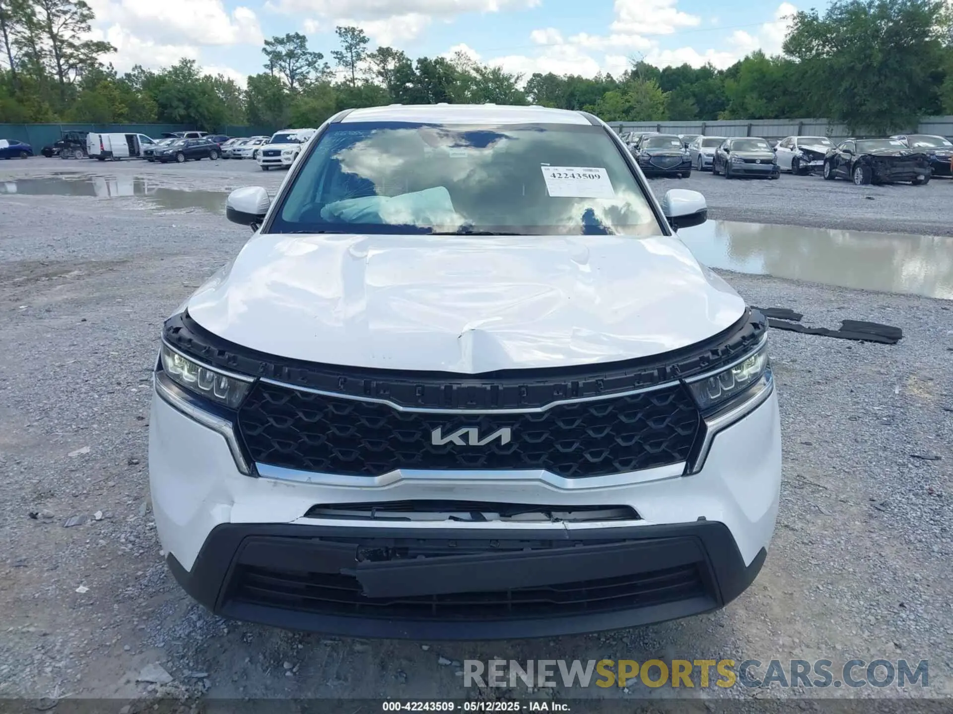 12 Фотография поврежденного автомобиля 5XYRG4LC7PG208106 KIA SORENTO 2023