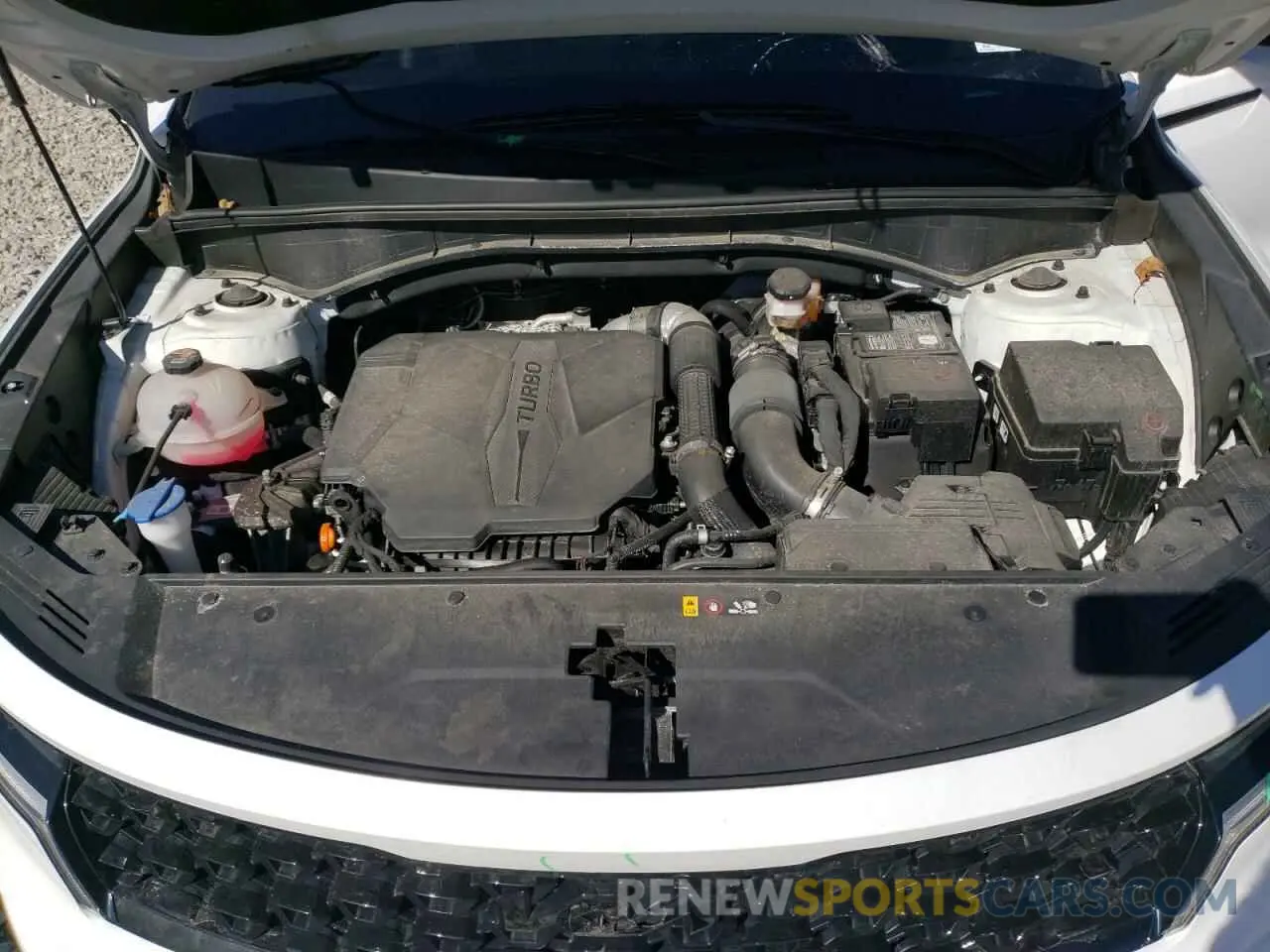 12 Фотография поврежденного автомобиля 5XYRKDLF0PG204665 KIA SORENTO 2023