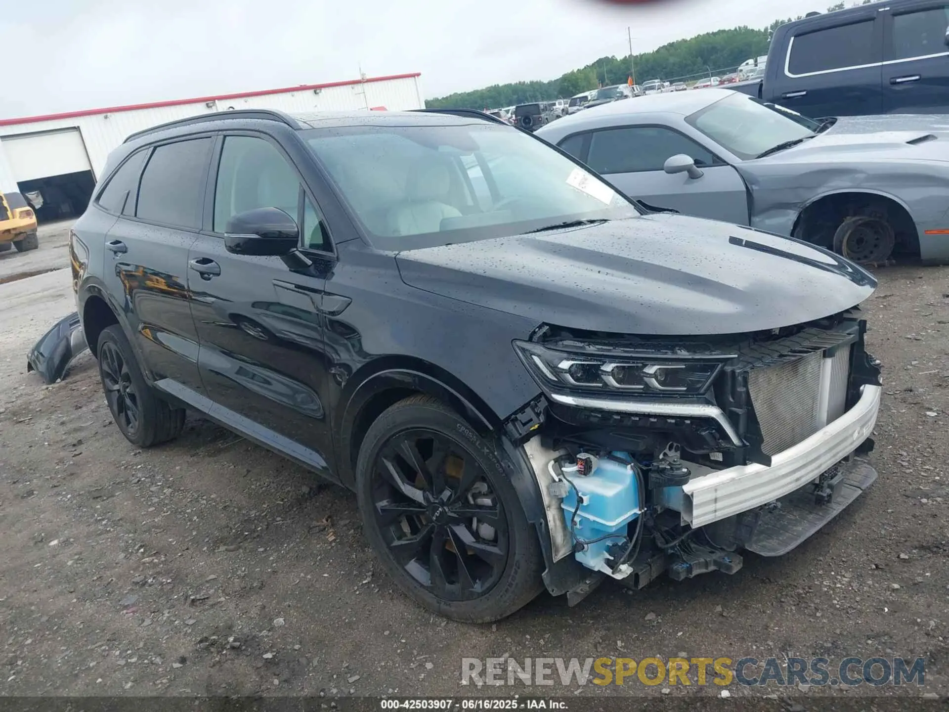 1 Photograph of a damaged car 5XYRKDLF3PG219032 KIA SORENTO 2023