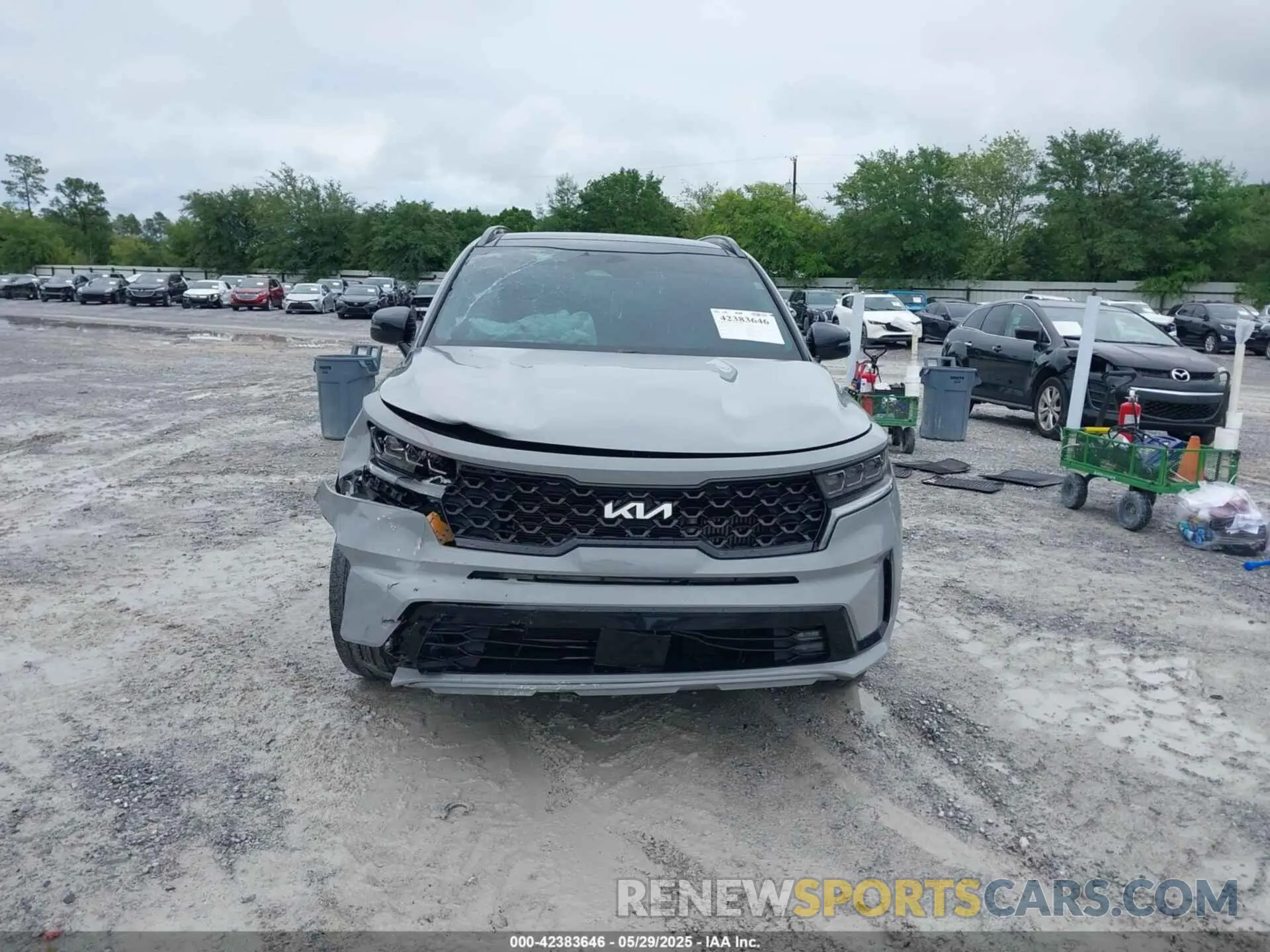 12 Photograph of a damaged car 5XYRKDLF7PG209670 KIA SORENTO 2023