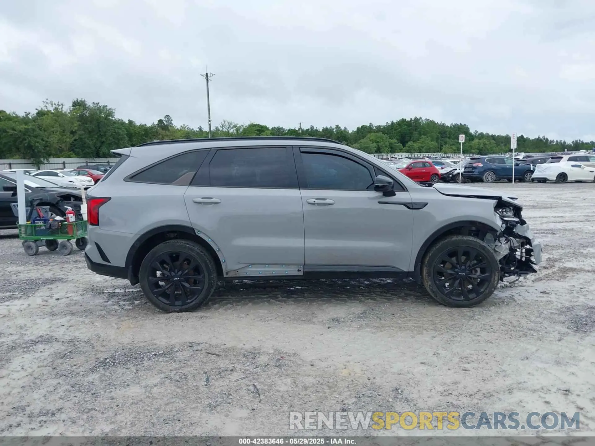 13 Photograph of a damaged car 5XYRKDLF7PG209670 KIA SORENTO 2023