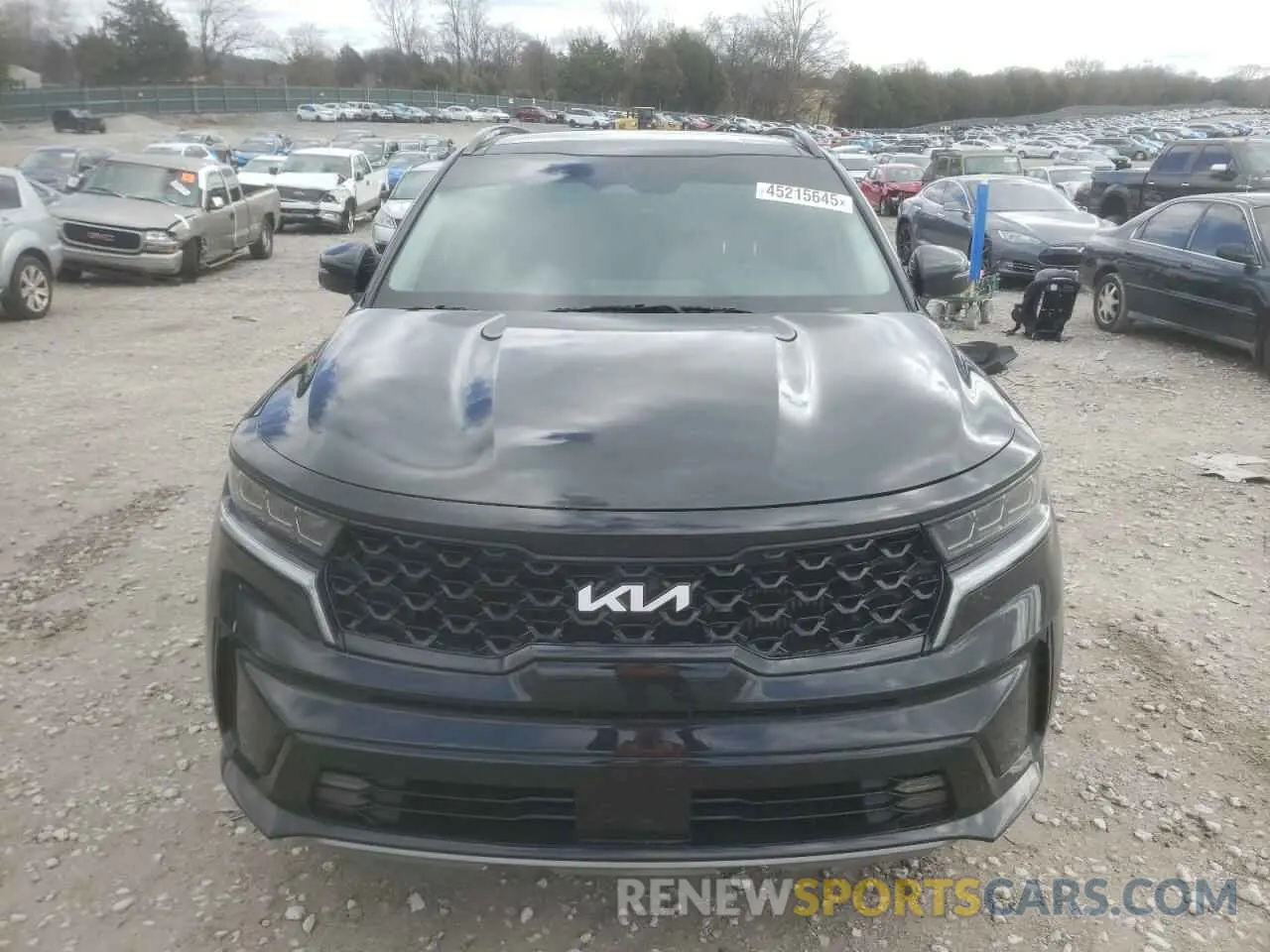 5 Фотография поврежденного автомобиля 5XYRKDLF8PG241513 KIA SORENTO 2023