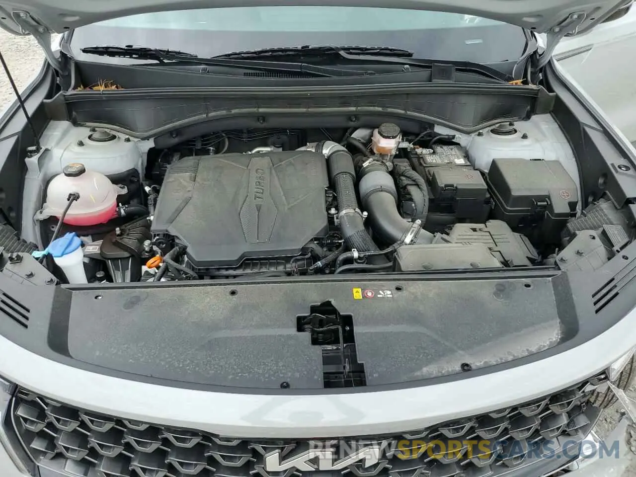 12 Photograph of a damaged car 5XYRKDLFXPG201529 KIA SORENTO 2023