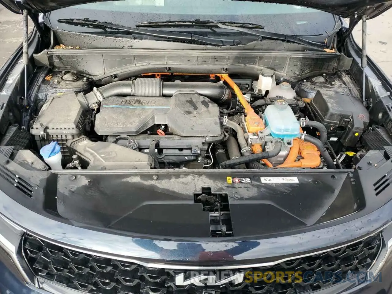 12 Фотография поврежденного автомобиля KNDRMDLH7P5201542 KIA SORENTO 2023