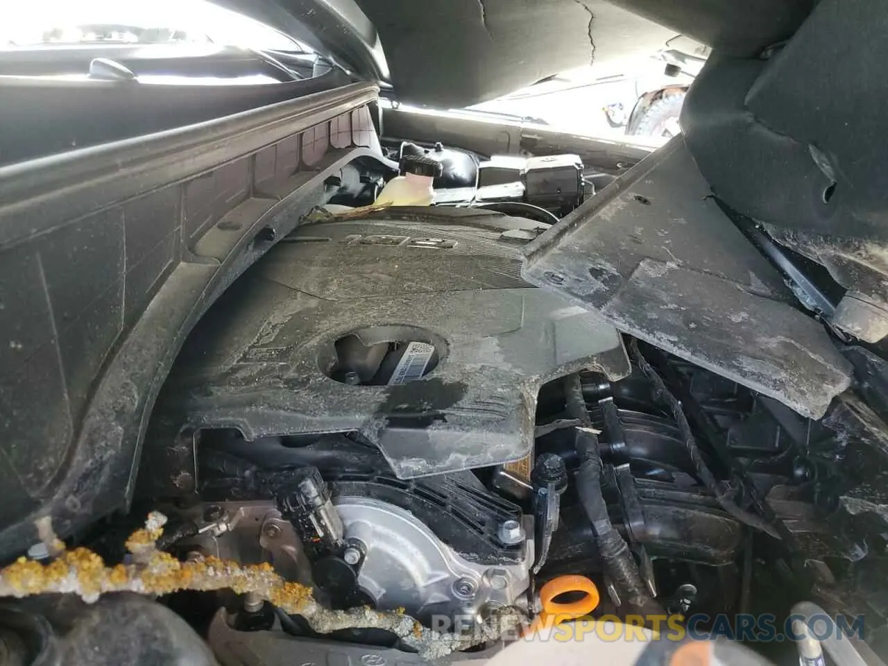 14 Фотография поврежденного автомобиля 5XYRG4JC8RG308348 KIA SORENTO 2024