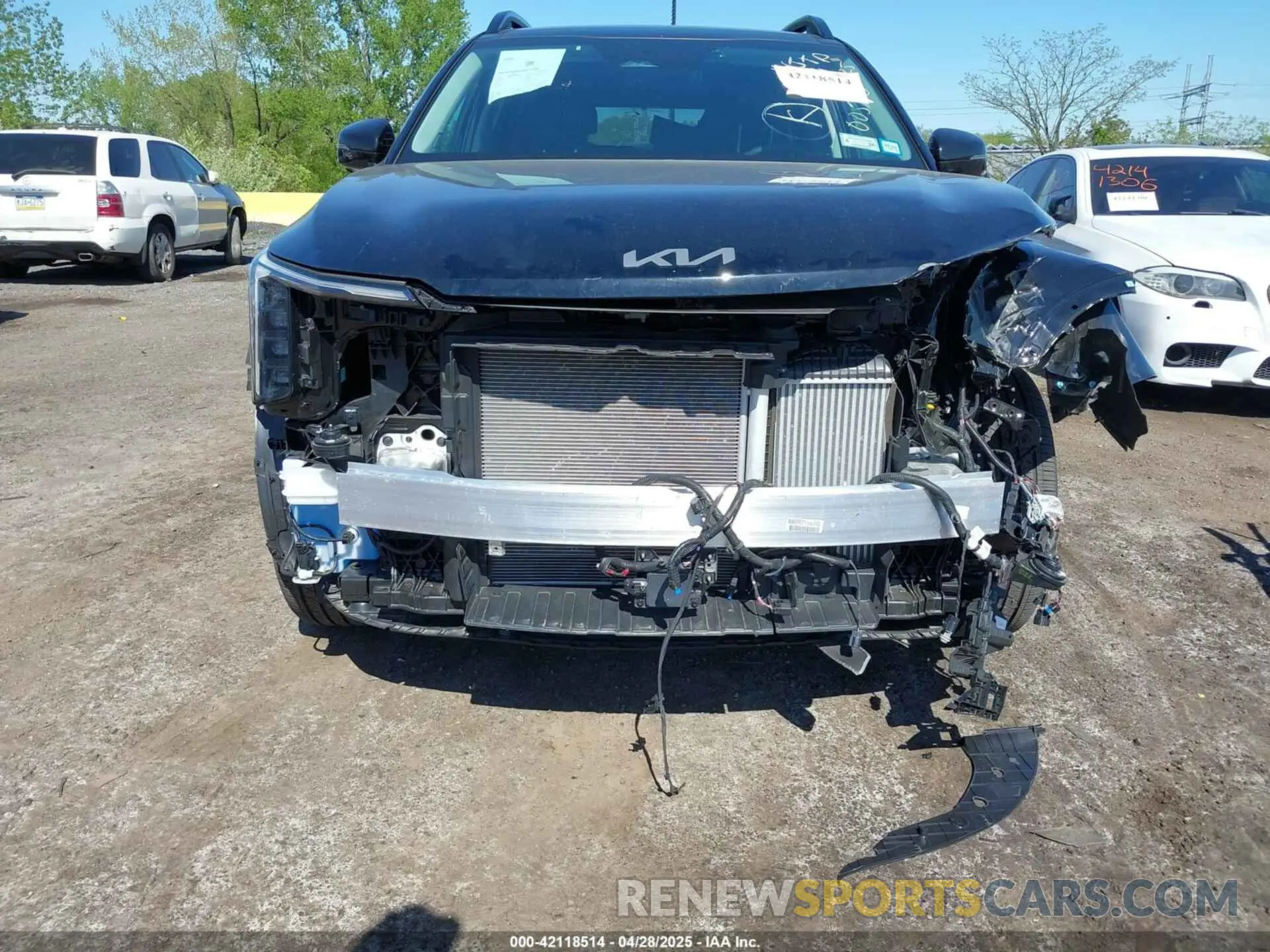 17 Photograph of a damaged car 5XYRKDJF7RG300590 KIA SORENTO 2024