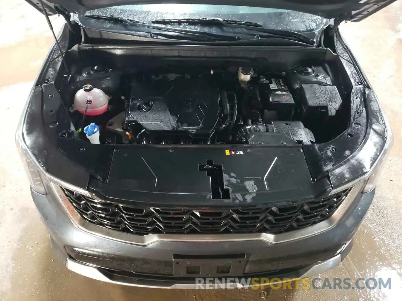 12 Photograph of a damaged car 5XYRLDJCXRG282895 KIA SORENTO 2024
