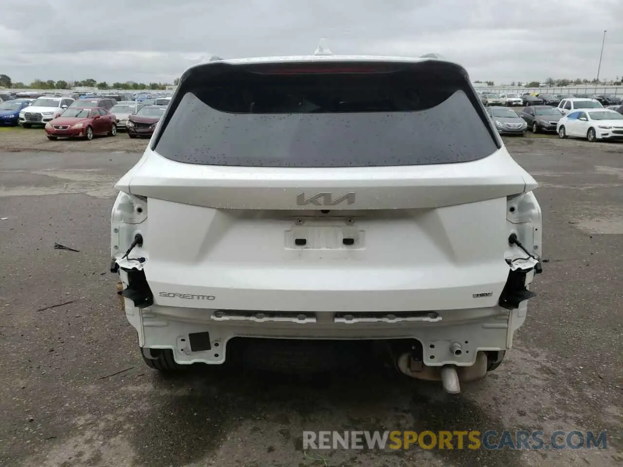6 Photograph of a damaged car KNDRHDLG6R5235664 KIA SORENTO 2024