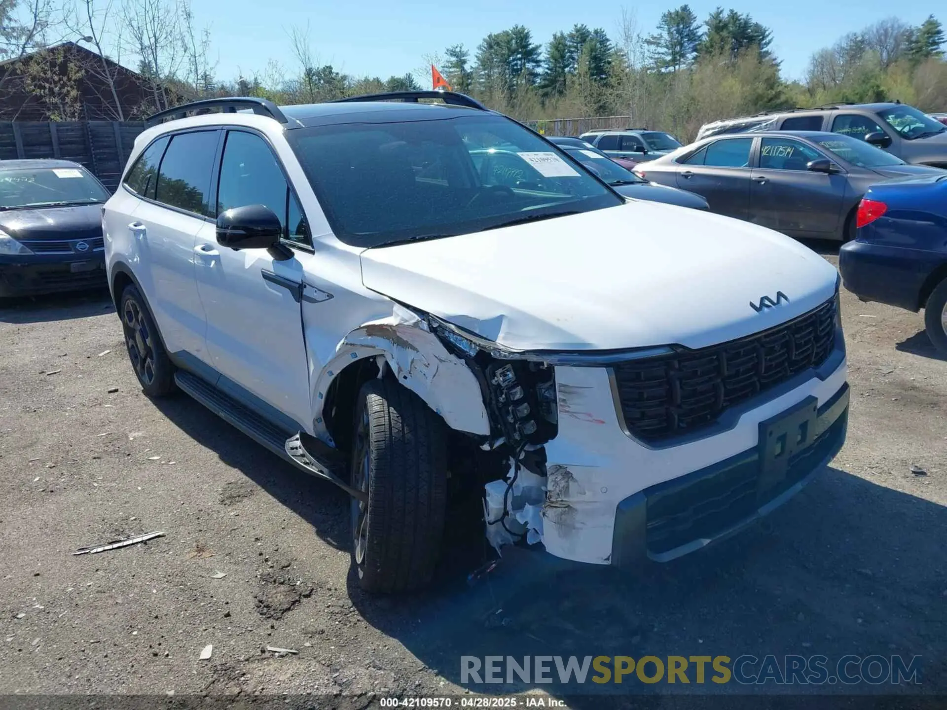 13 Photograph of a damaged car 5XYRKDJF0SG377999 KIA SORENTO 2025