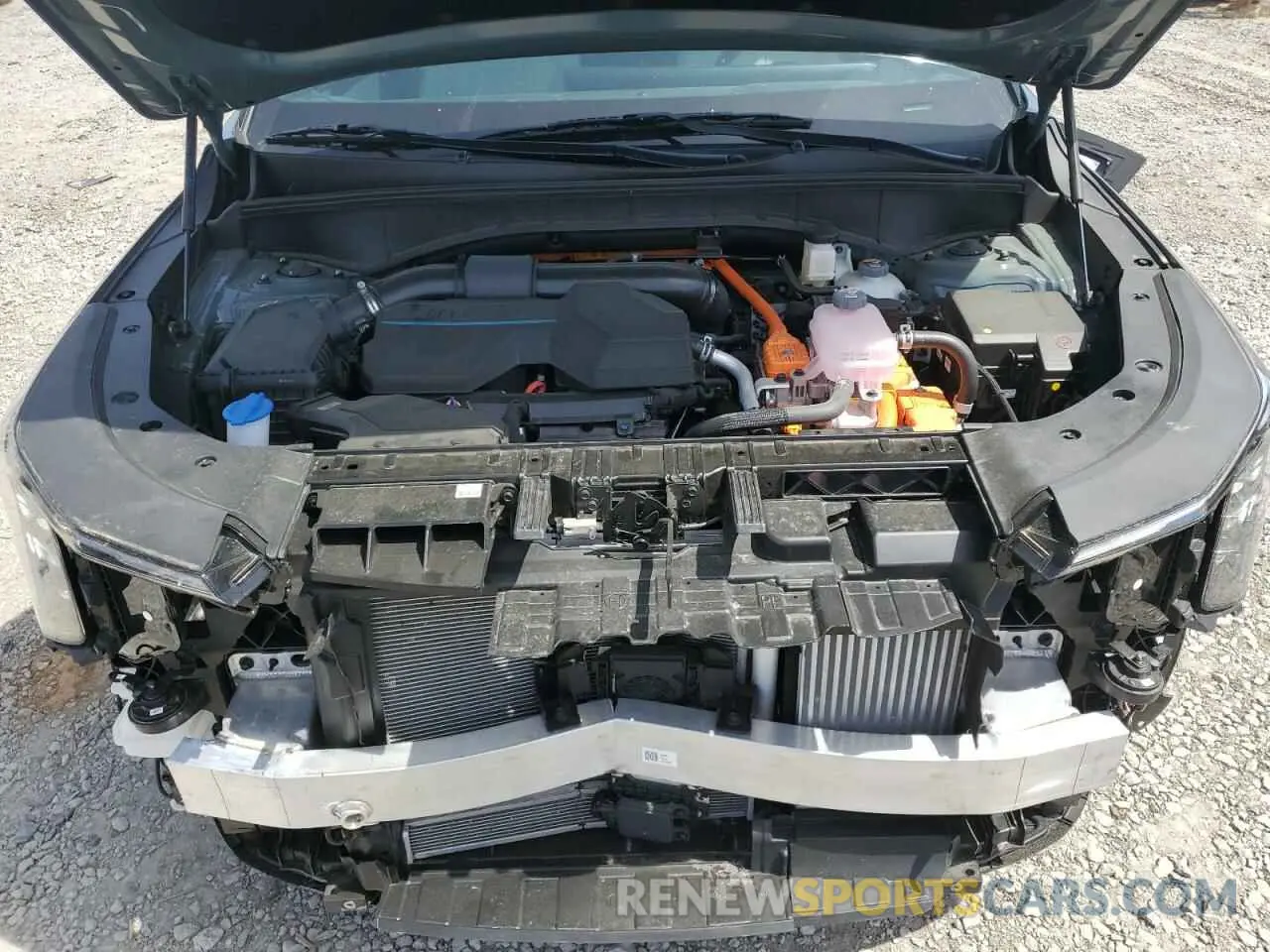 12 Фотография поврежденного автомобиля KNDRKDJG6S5323043 KIA SORENTO 2025