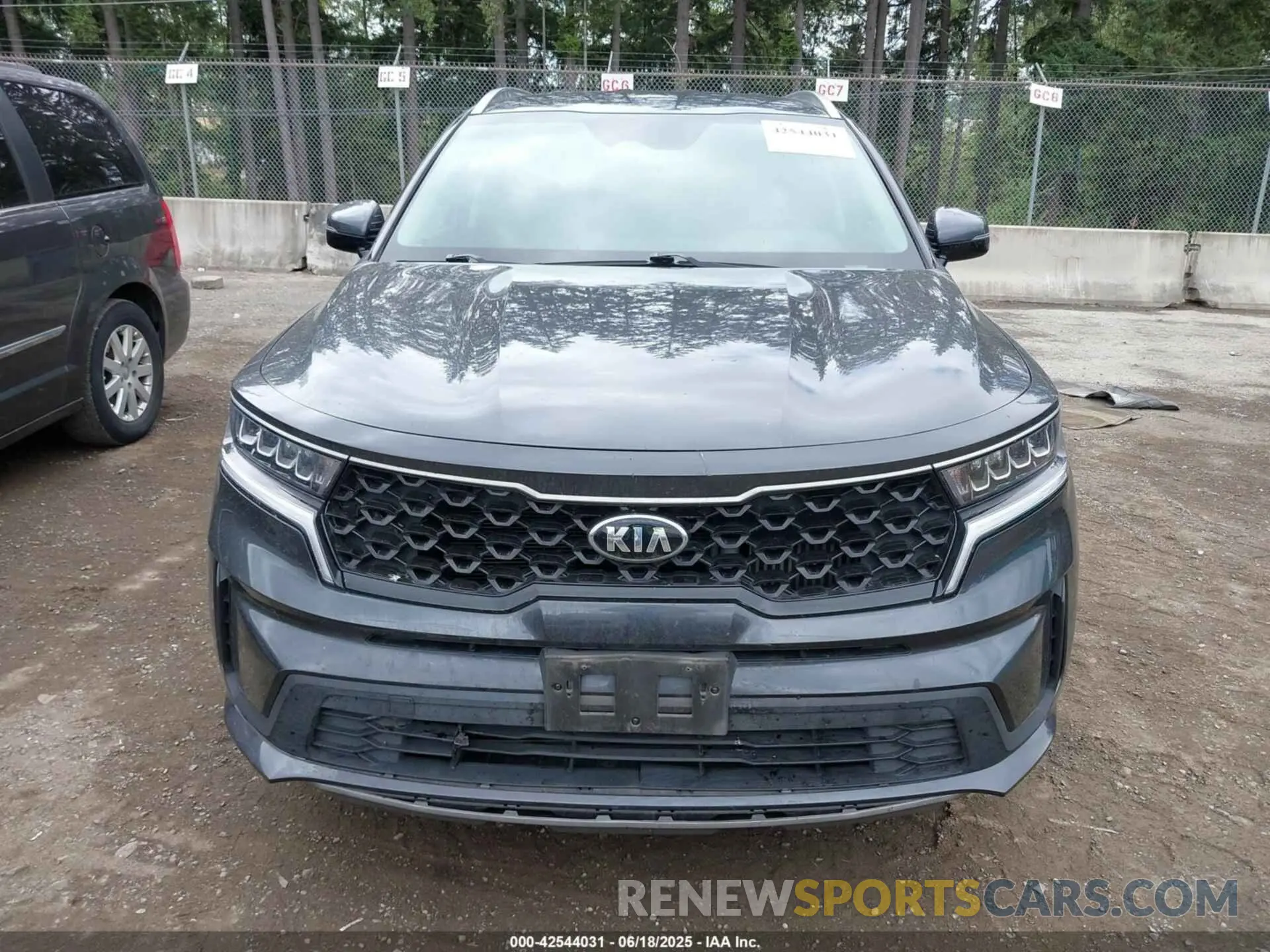 12 Photograph of a damaged car KNDRG4LG0M5036878 KIA SORENTO HYBRID 2021