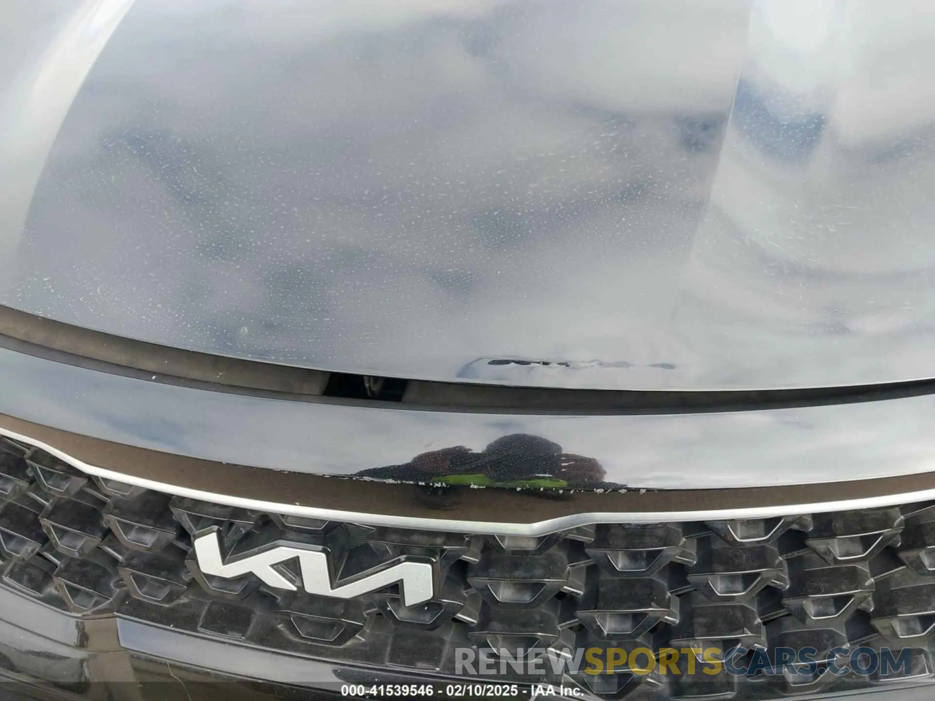 17 Photograph of a damaged car KNDRG4LG5N5086094 KIA SORENTO HYBRID 2022