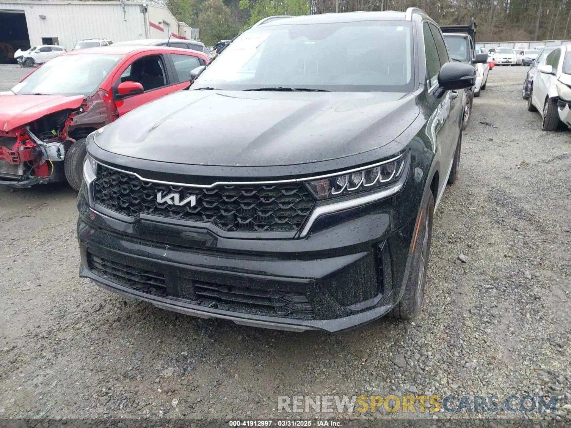 12 Photograph of a damaged car KNDRH4LG5P5198328 KIA SORENTO HYBRID 2023
