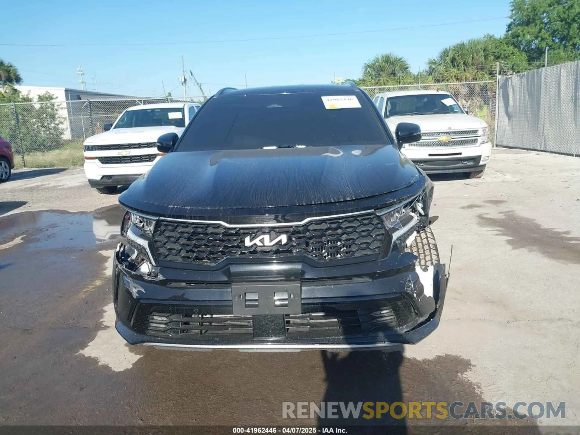 12 Photograph of a damaged car KNDRH4LG9P5172542 KIA SORENTO HYBRID 2023