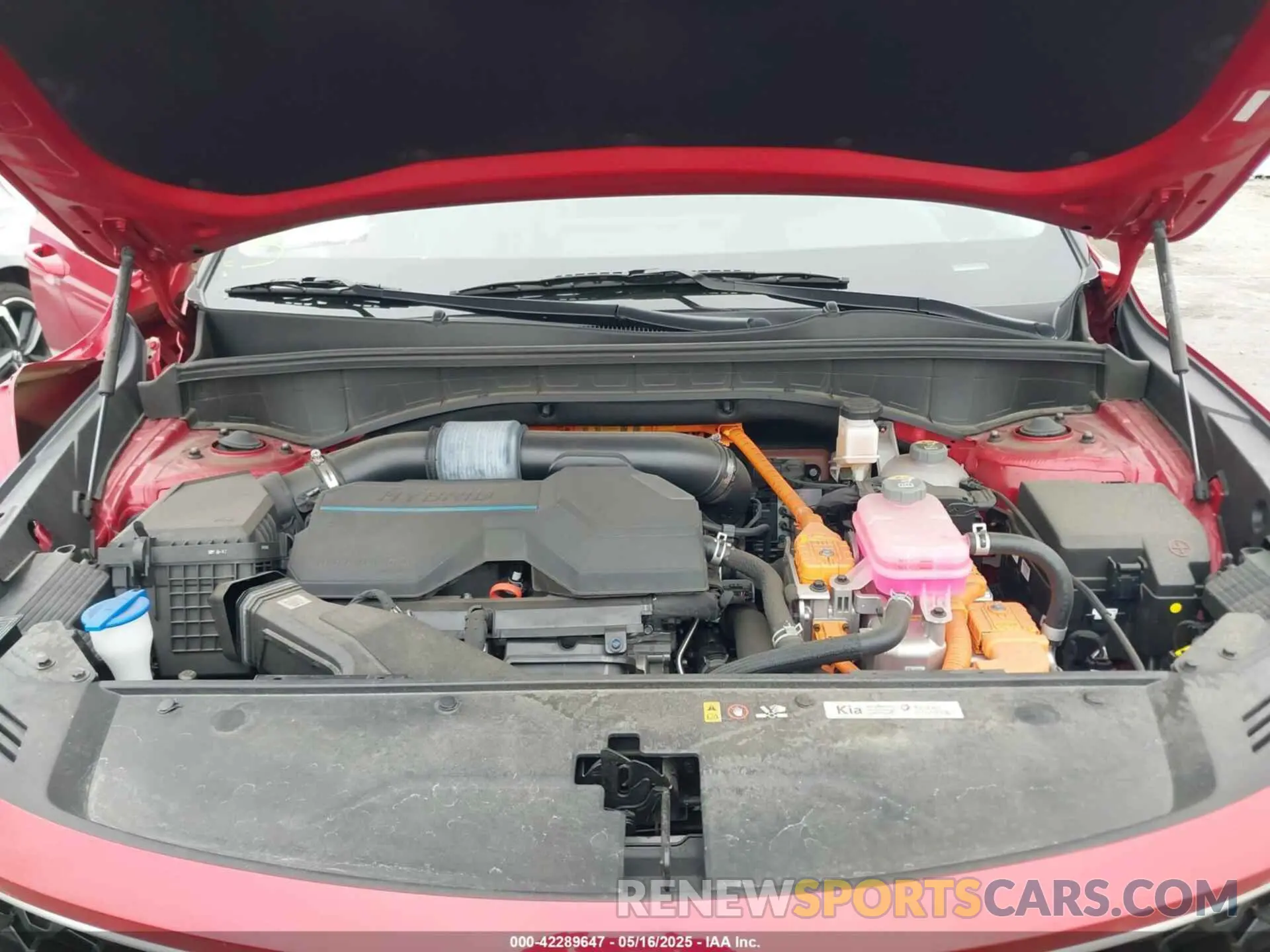 10 Photograph of a damaged car KNDRHDLG1P5201371 KIA SORENTO HYBRID 2023