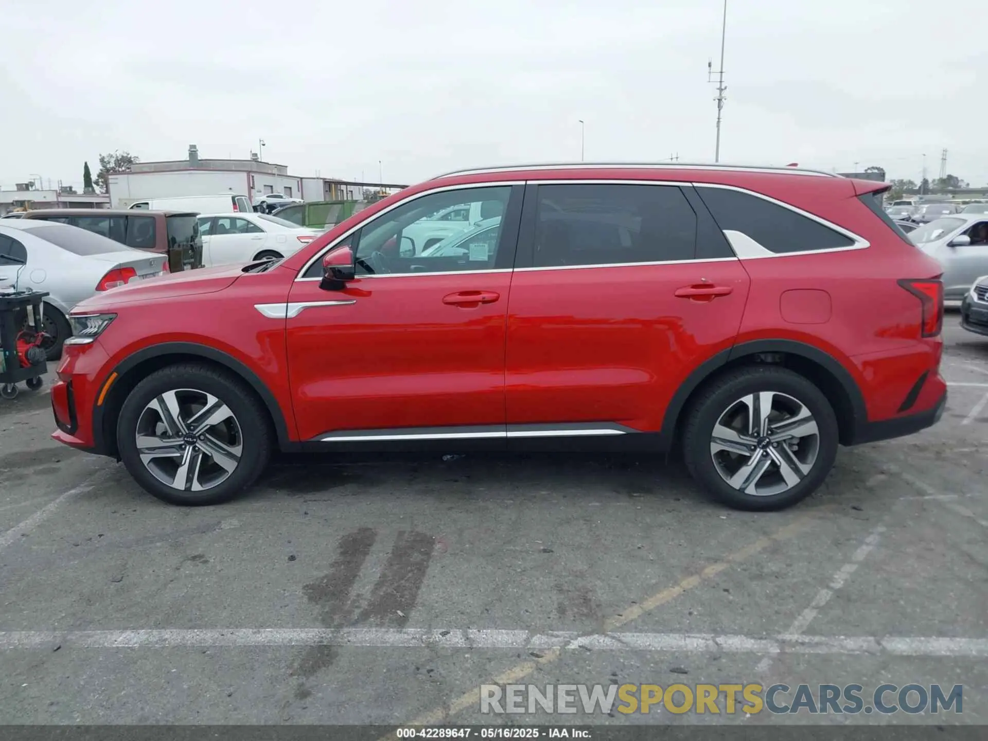 13 Photograph of a damaged car KNDRHDLG1P5201371 KIA SORENTO HYBRID 2023