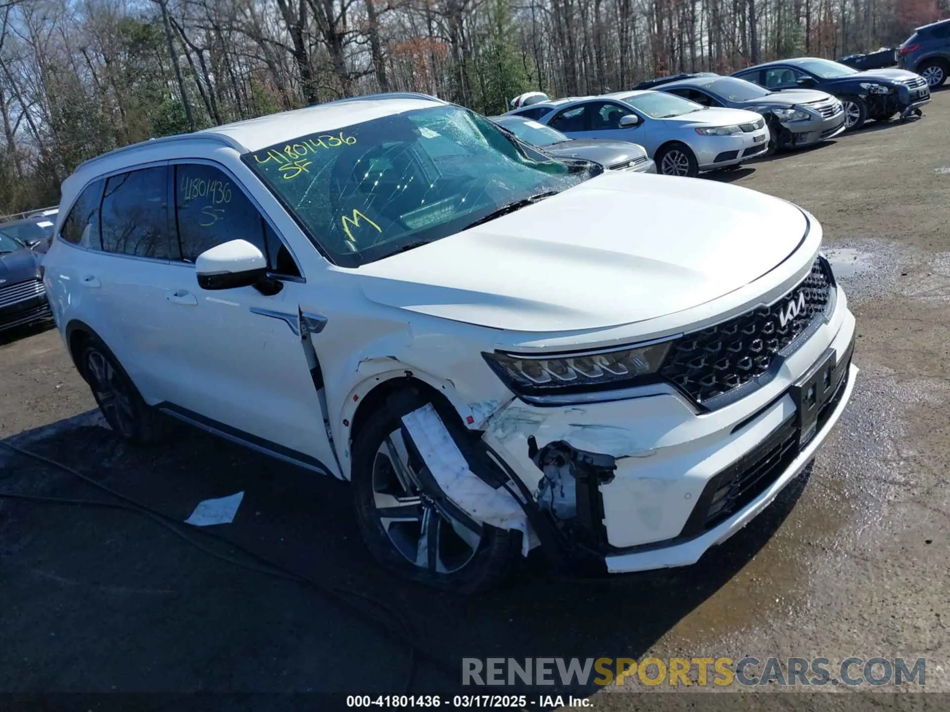 1 Фотография поврежденного автомобиля KNDRHDLG5R5259177 KIA SORENTO HYBRID 2024