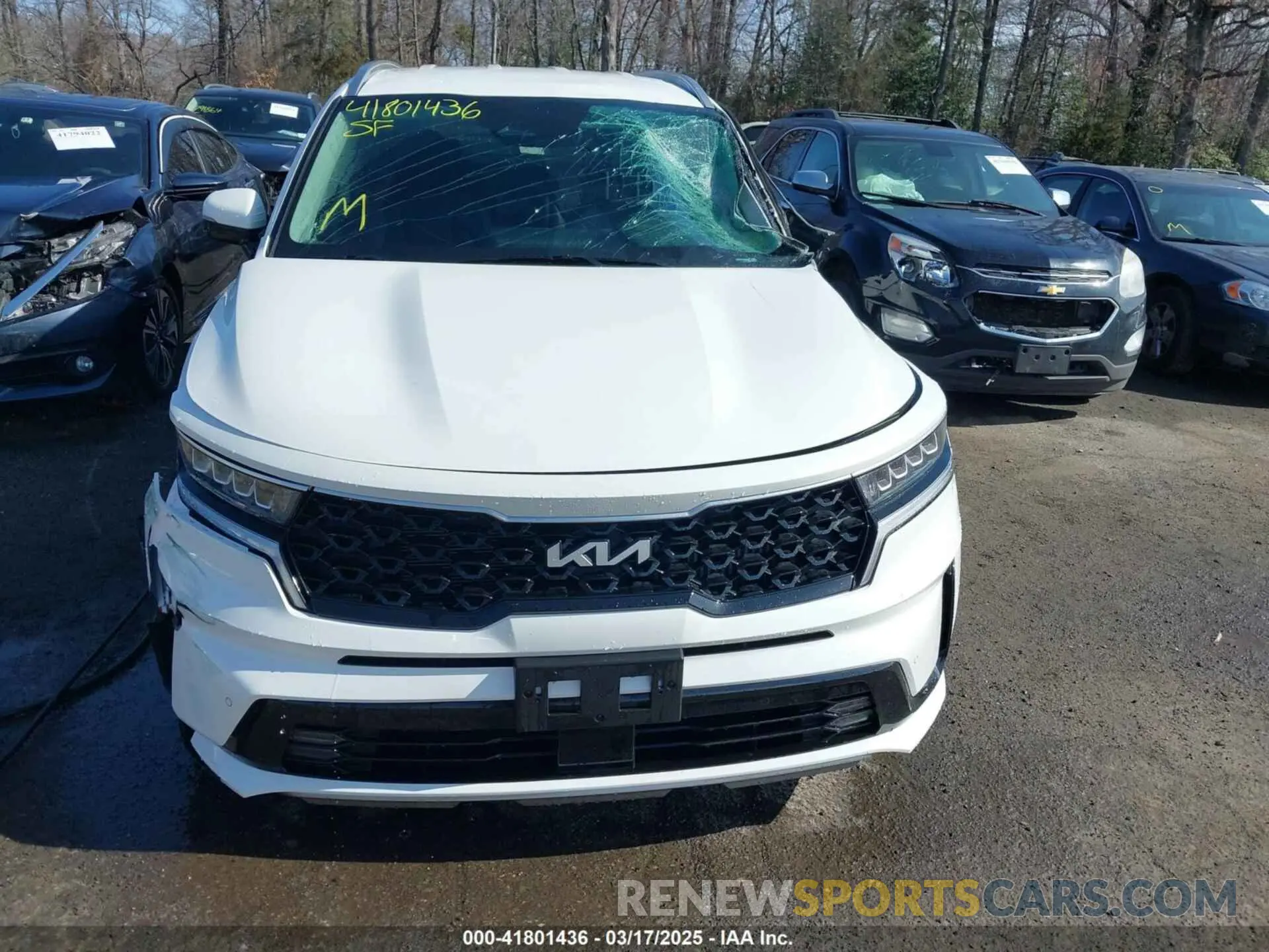 12 Фотография поврежденного автомобиля KNDRHDLG5R5259177 KIA SORENTO HYBRID 2024