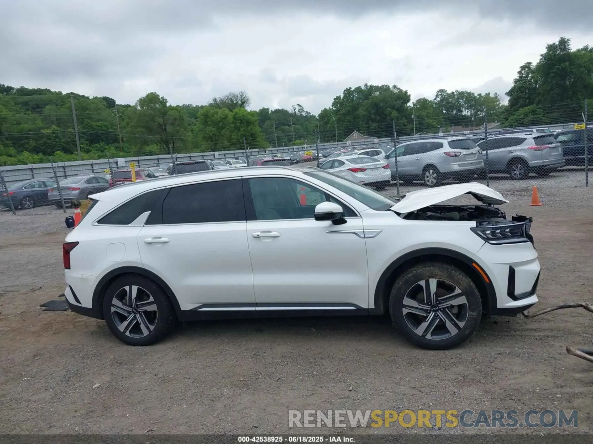 14 Photograph of a damaged car KNDRJDLH6N5114544 KIA SORENTO PLUG-IN HYBRID 2022