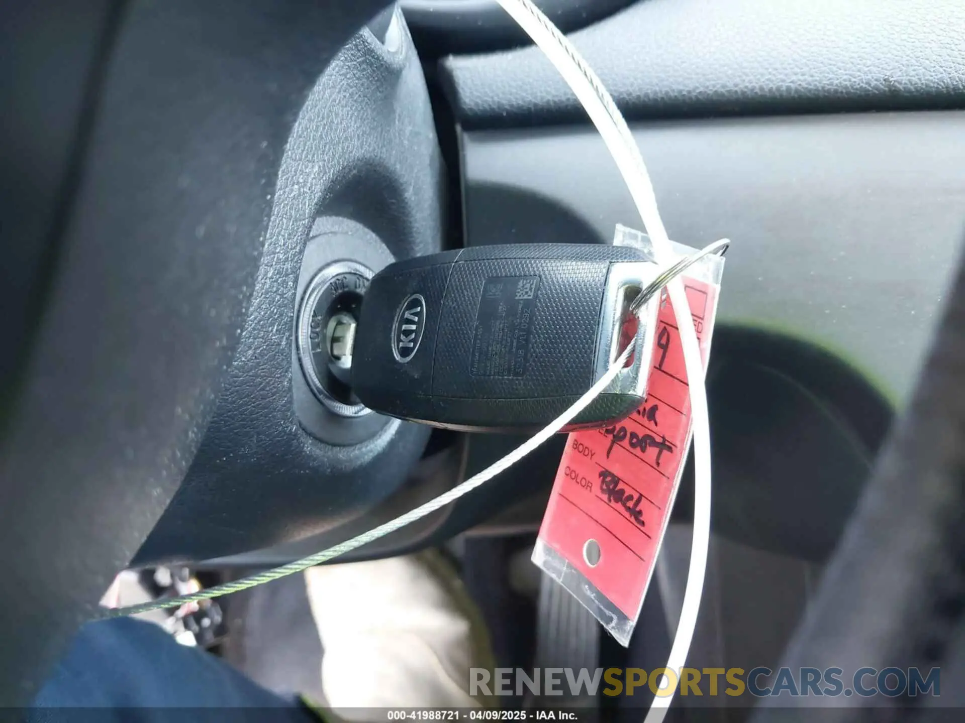11 Photograph of a damaged car KNDPM3AC8K7537108 KIA SPORTAGE 2019
