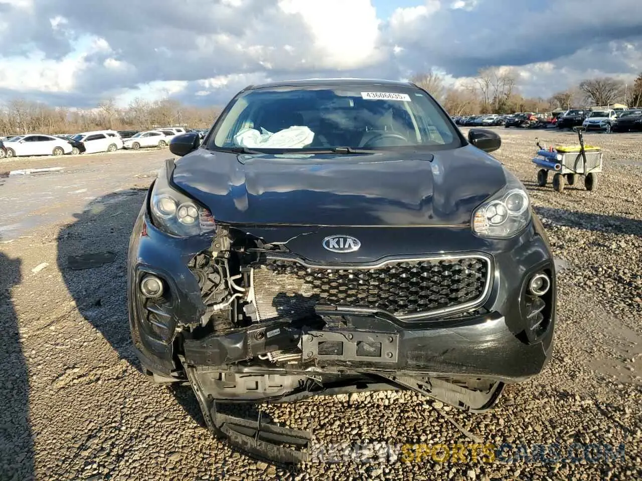 5 Photograph of a damaged car KNDPMCAC1K7620198 KIA SPORTAGE 2019