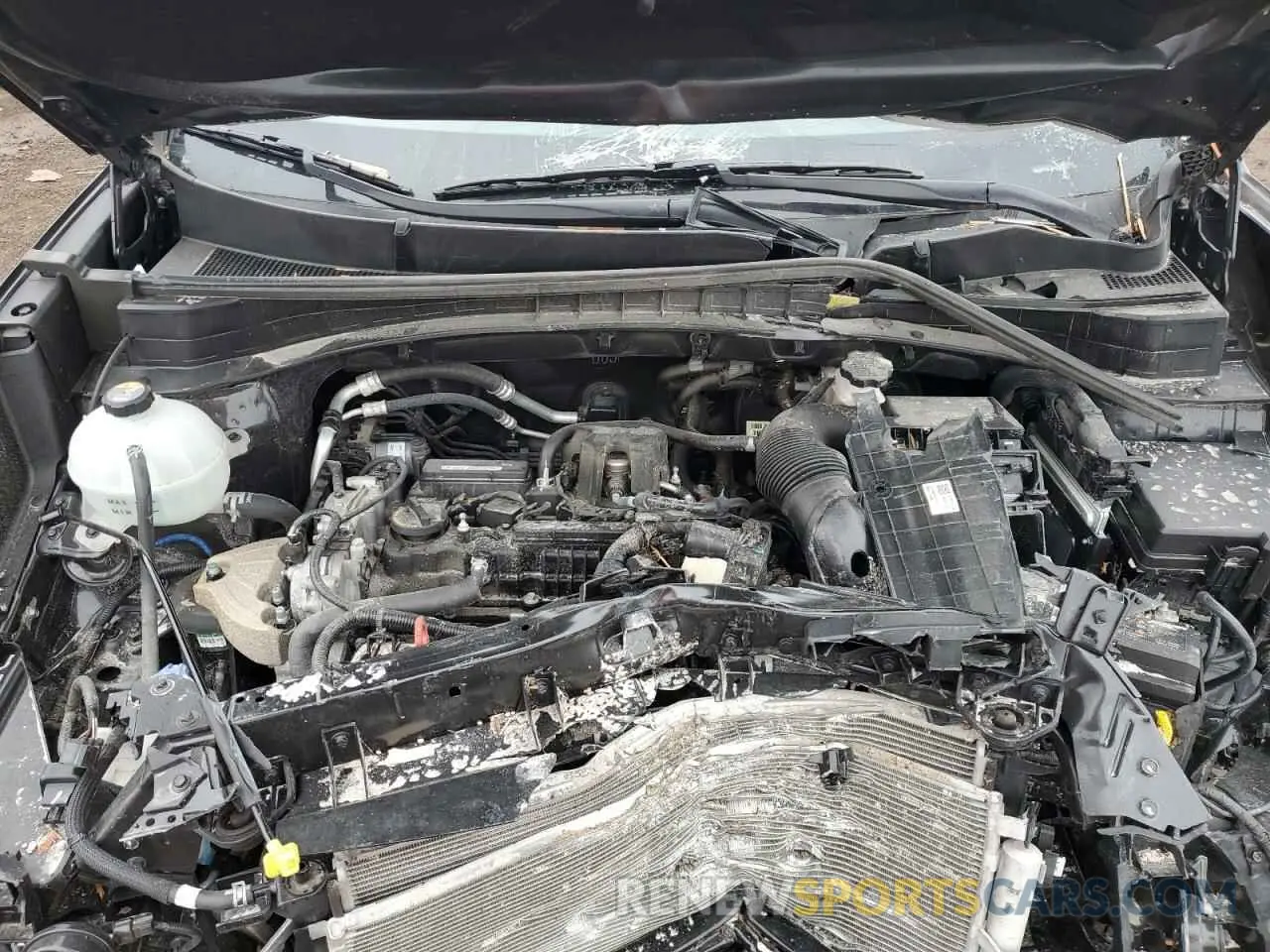 13 Фотография поврежденного автомобиля KNDPMCAC3K7595613 KIA SPORTAGE 2019