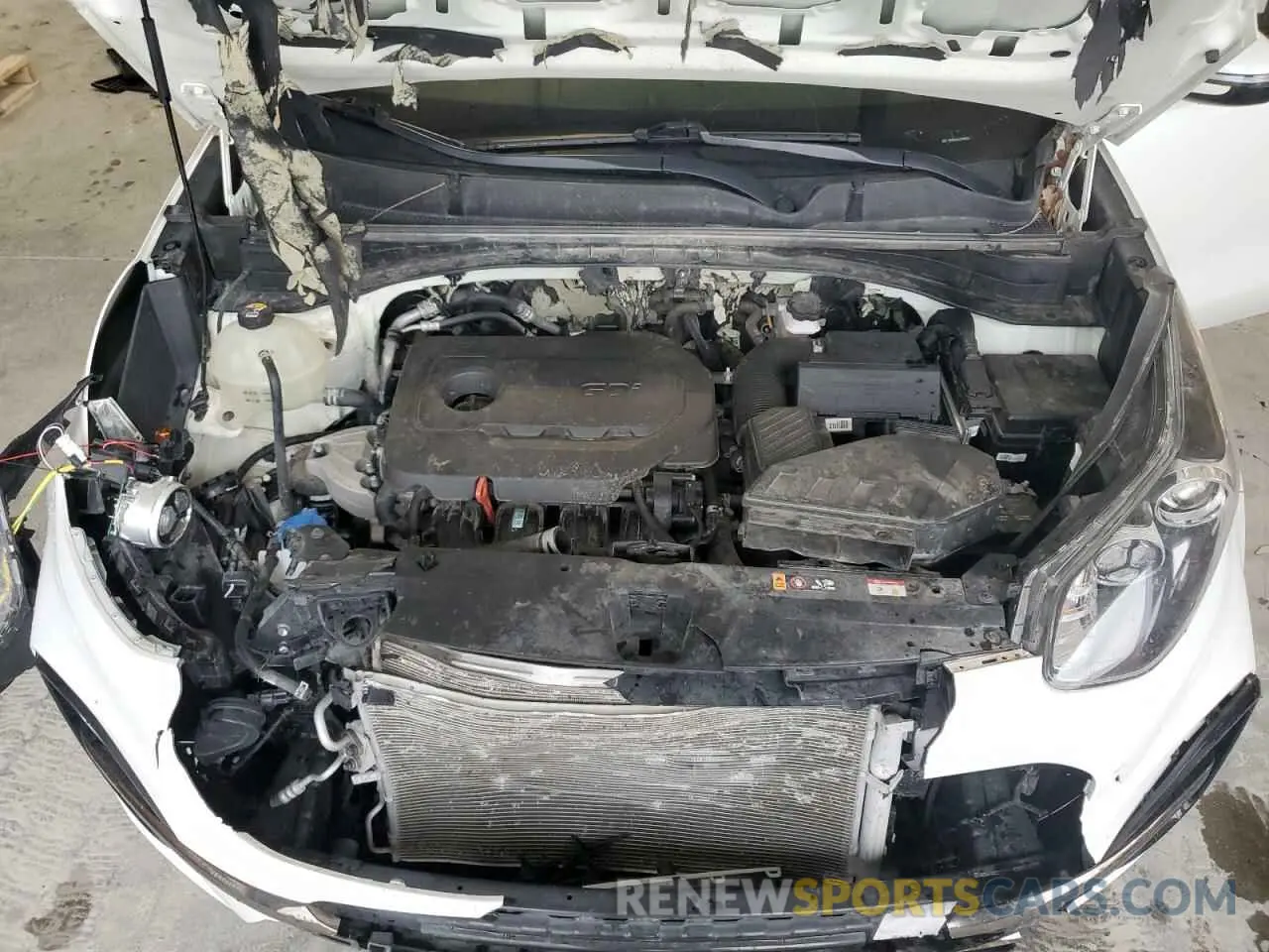 12 Photograph of a damaged car KNDP6CAC2L7789156 KIA SPORTAGE 2020