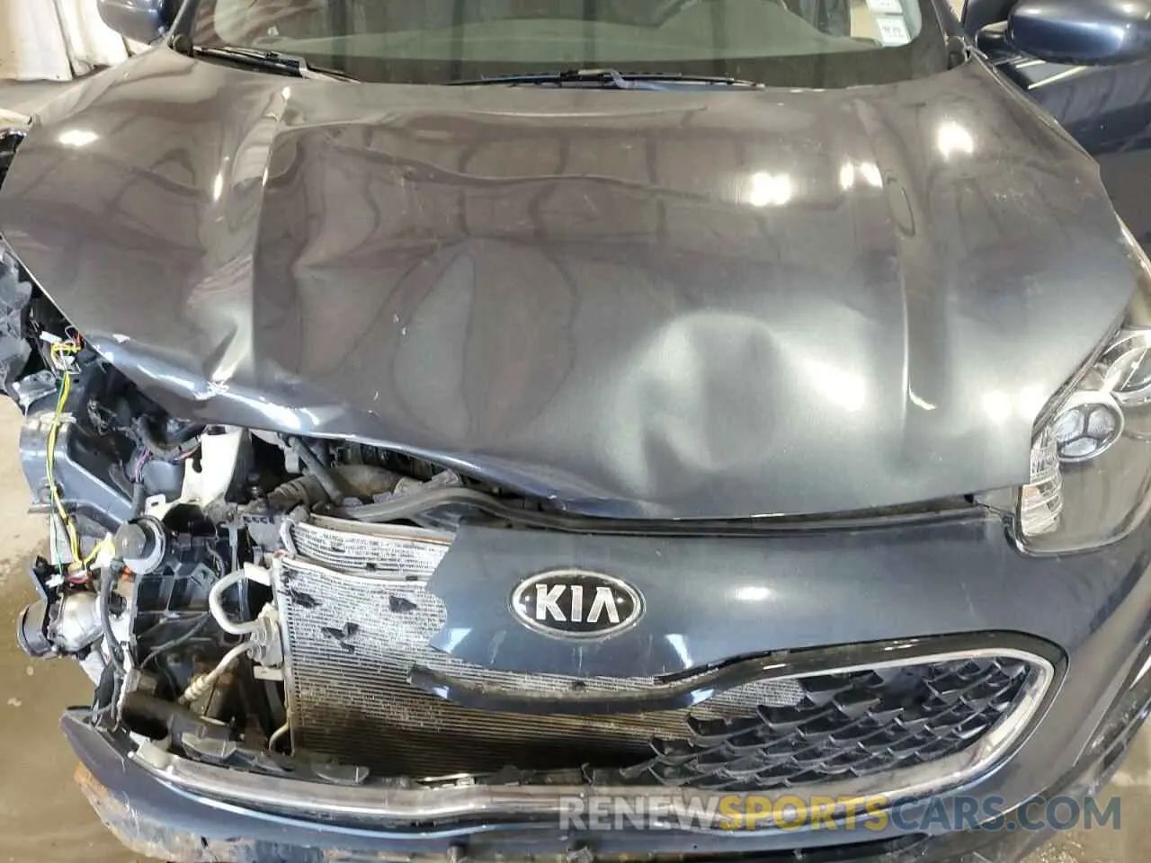 12 Photograph of a damaged car KNDPMCAC5L7629858 KIA SPORTAGE 2020