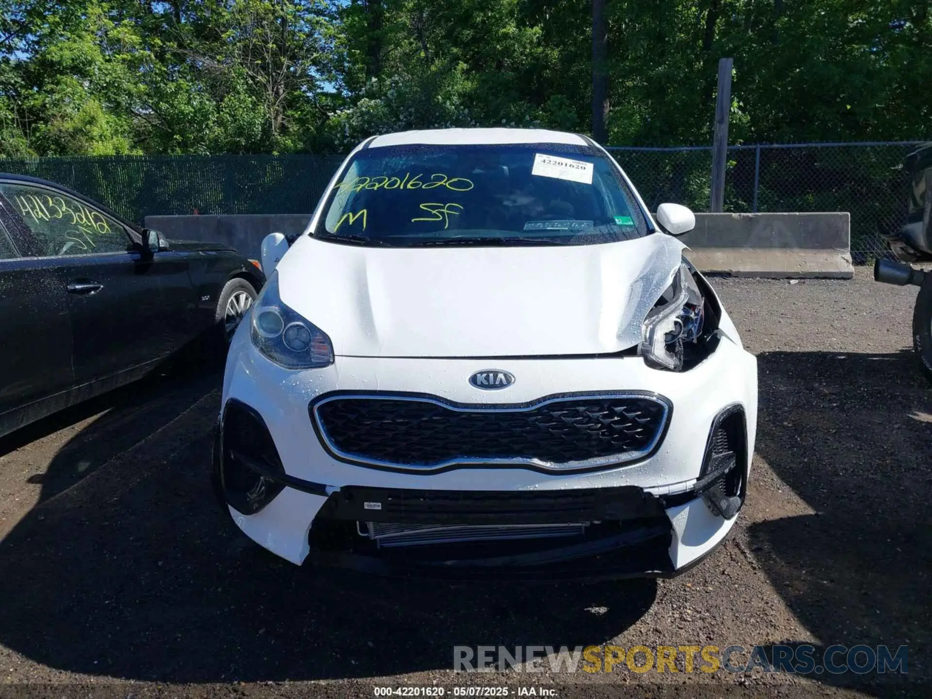 11 Photograph of a damaged car KNDPM3AC3M7845709 KIA SPORTAGE 2021