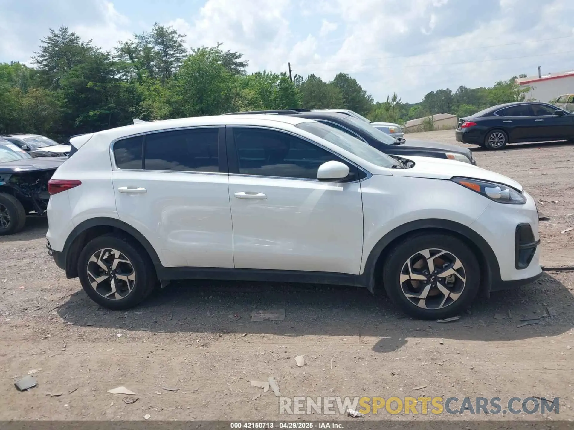 12 Фотография поврежденного автомобиля KNDPM3AC8N7995123 KIA SPORTAGE 2022