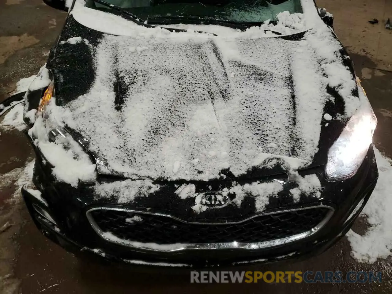12 Photograph of a damaged car KNDPMCAC8N7002736 KIA SPORTAGE 2022